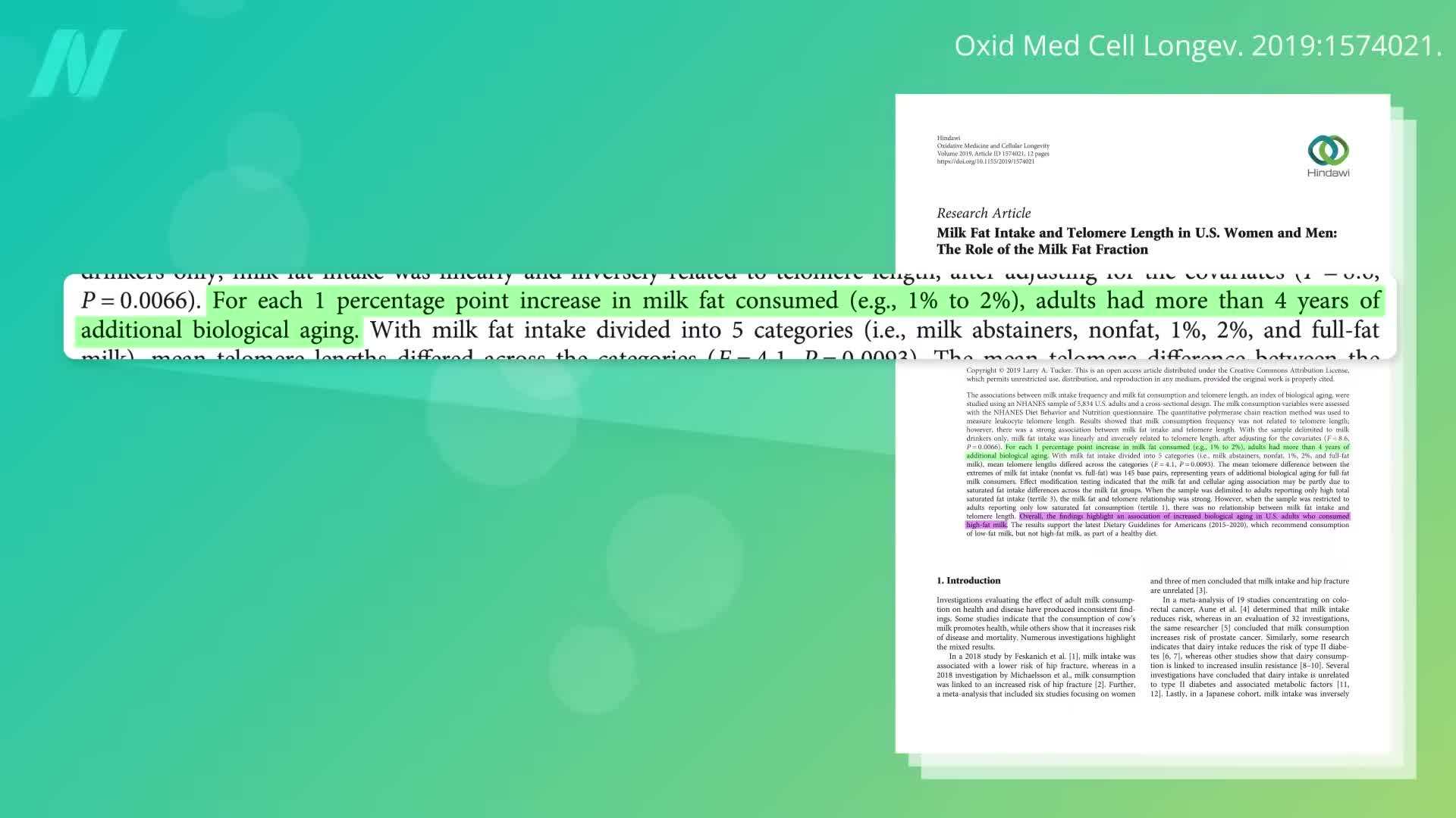 Greens rich in antioxidants and vitamins