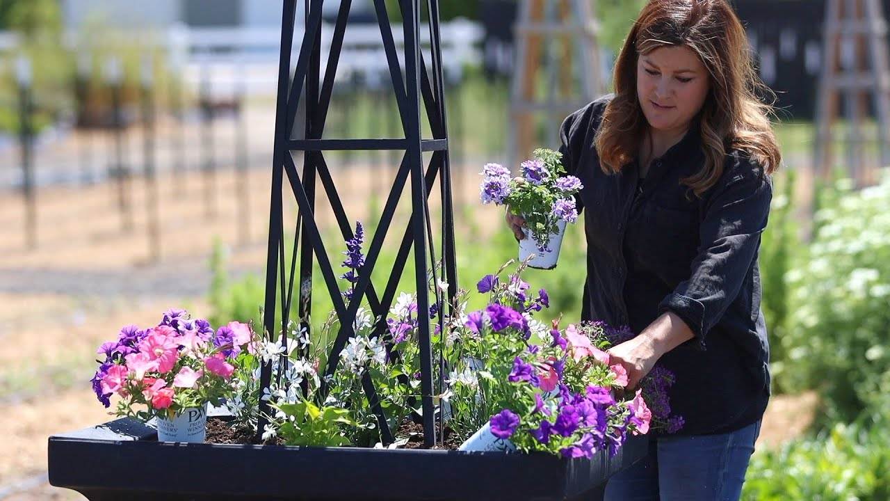 Planting Large Full Sun Containers: A Guide to Beautiful Summer Gardens