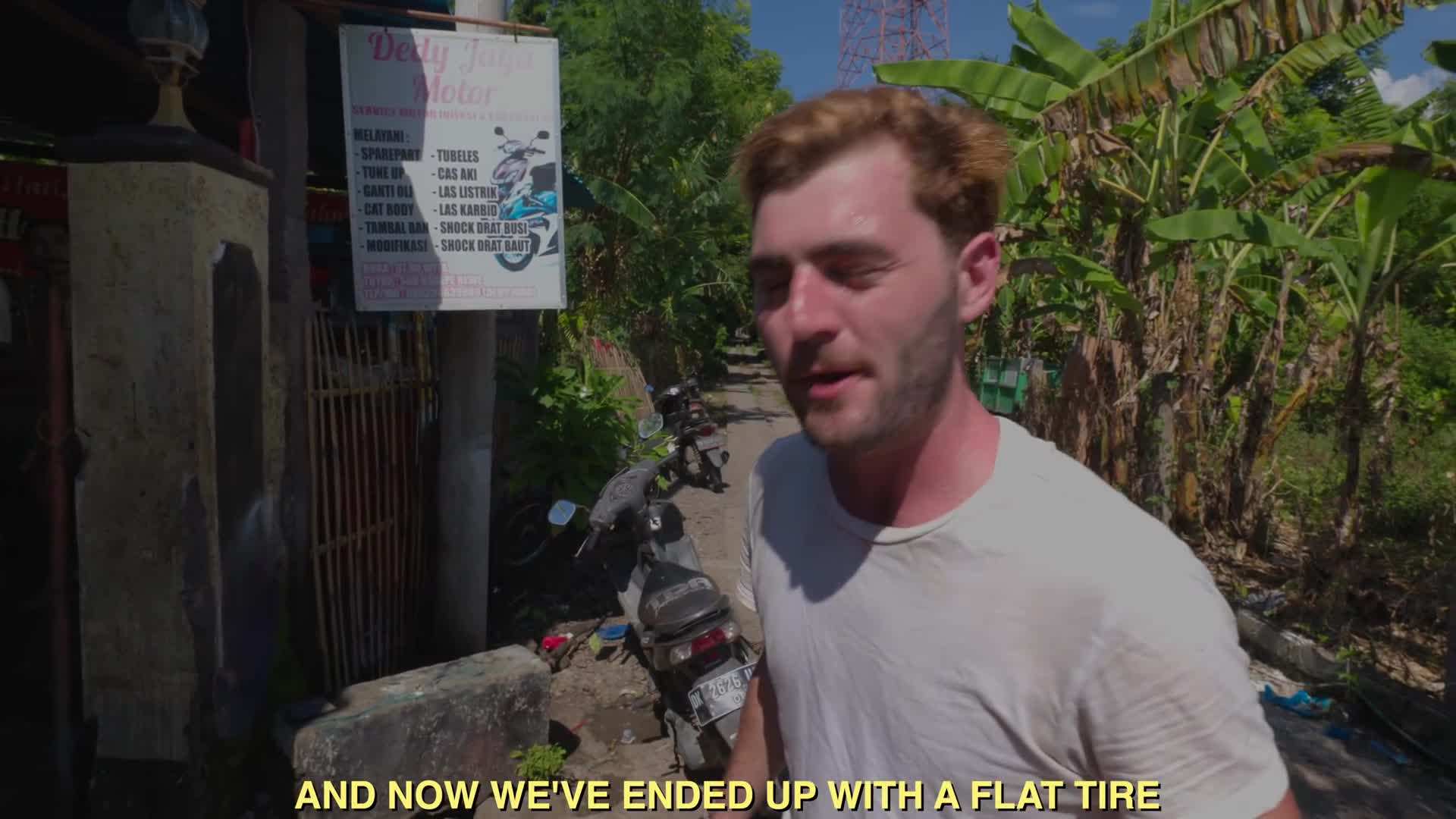 Close-up of a rare bird species found in the park