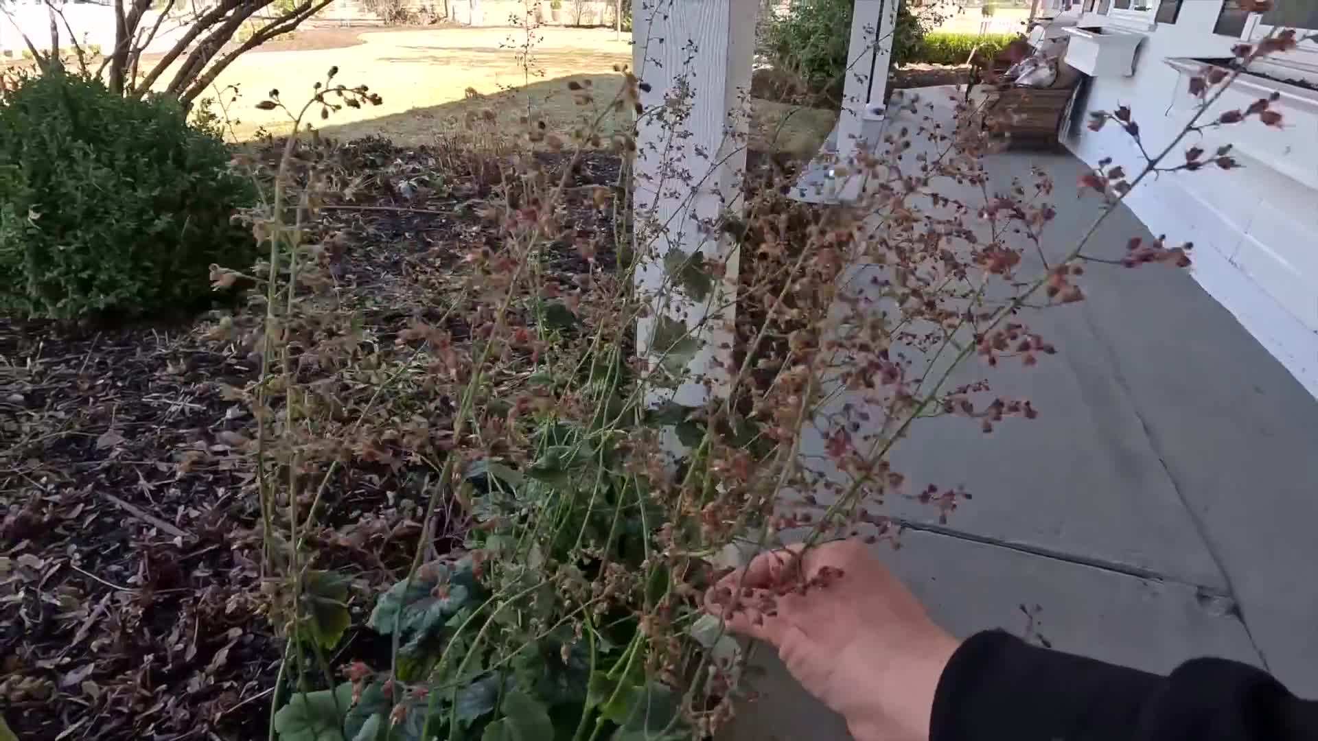 Example of a well-arranged spring container