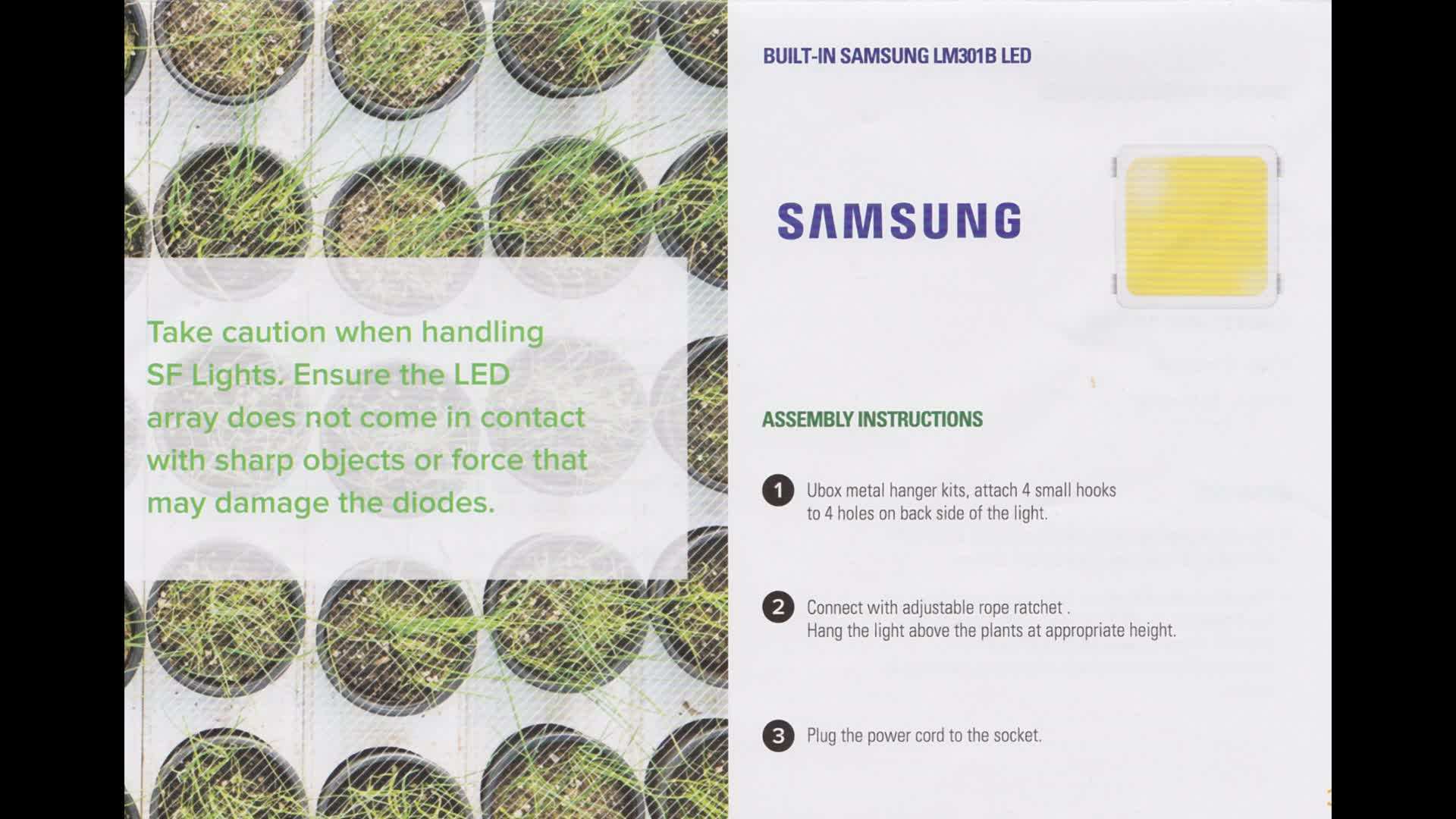 Harvested Microgreens