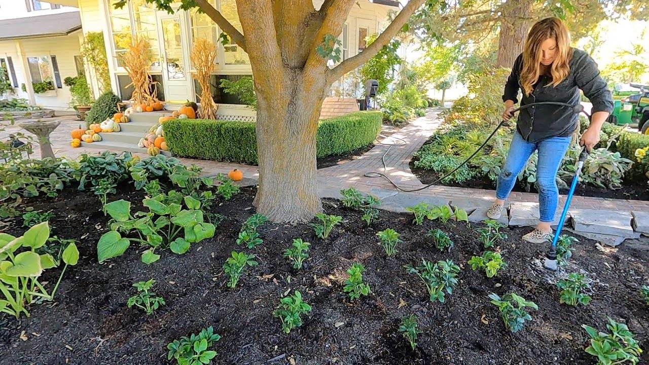 Planting Simple Fall Containers & Ton of Hellebores! ππ§‘π
