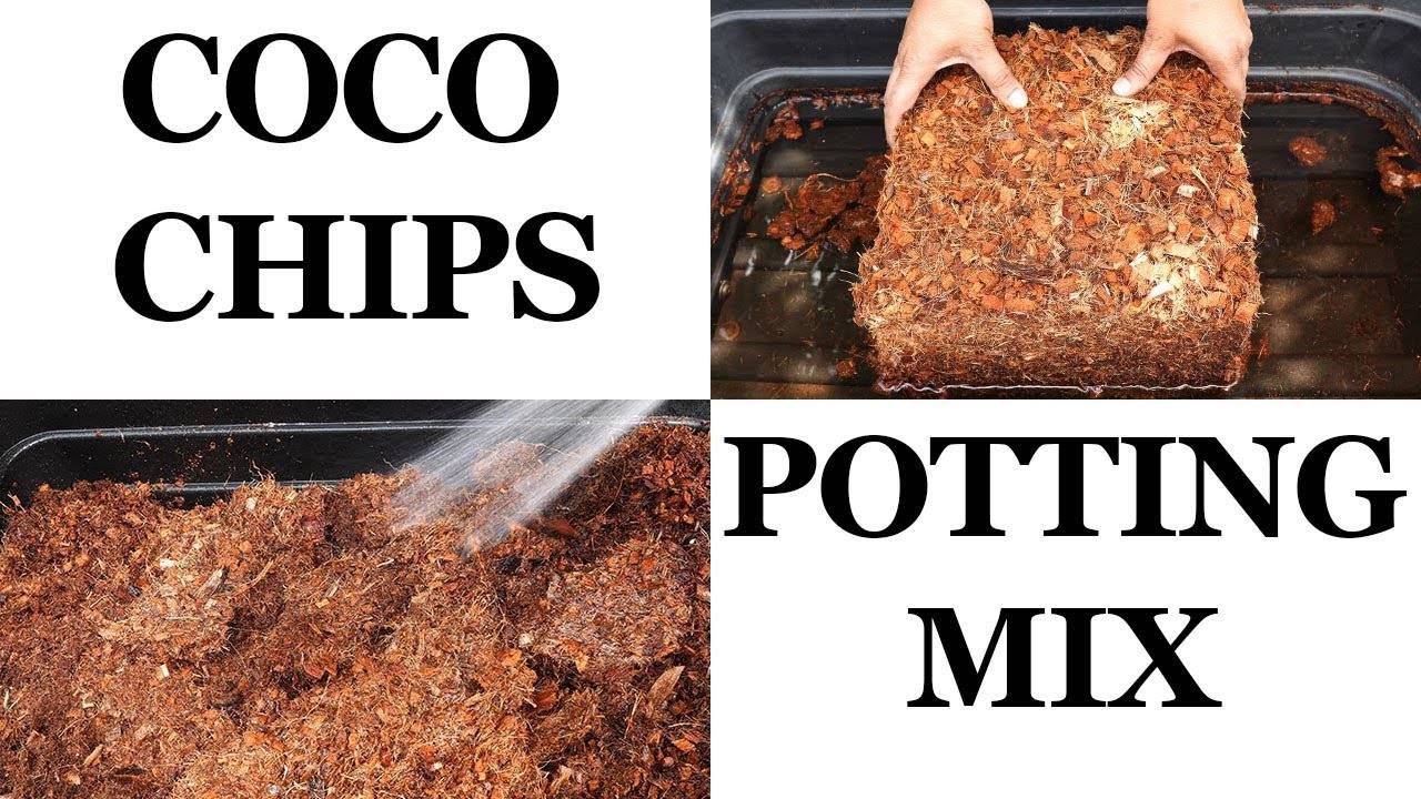 Discover the Power of Coco Coir and Coconut Chips in DIY Potting Mix