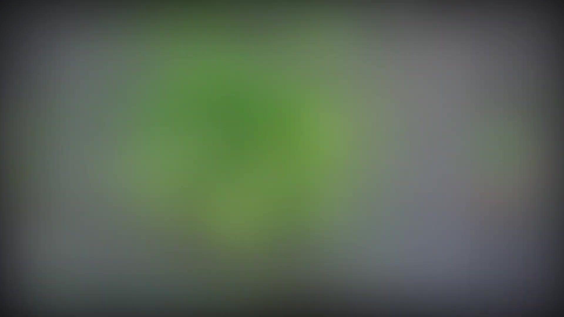 Preparing the fall garden