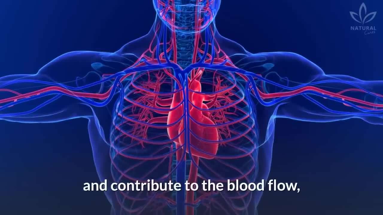 A close-up of a strawberry, showcasing its juicy texture and vitamin C content