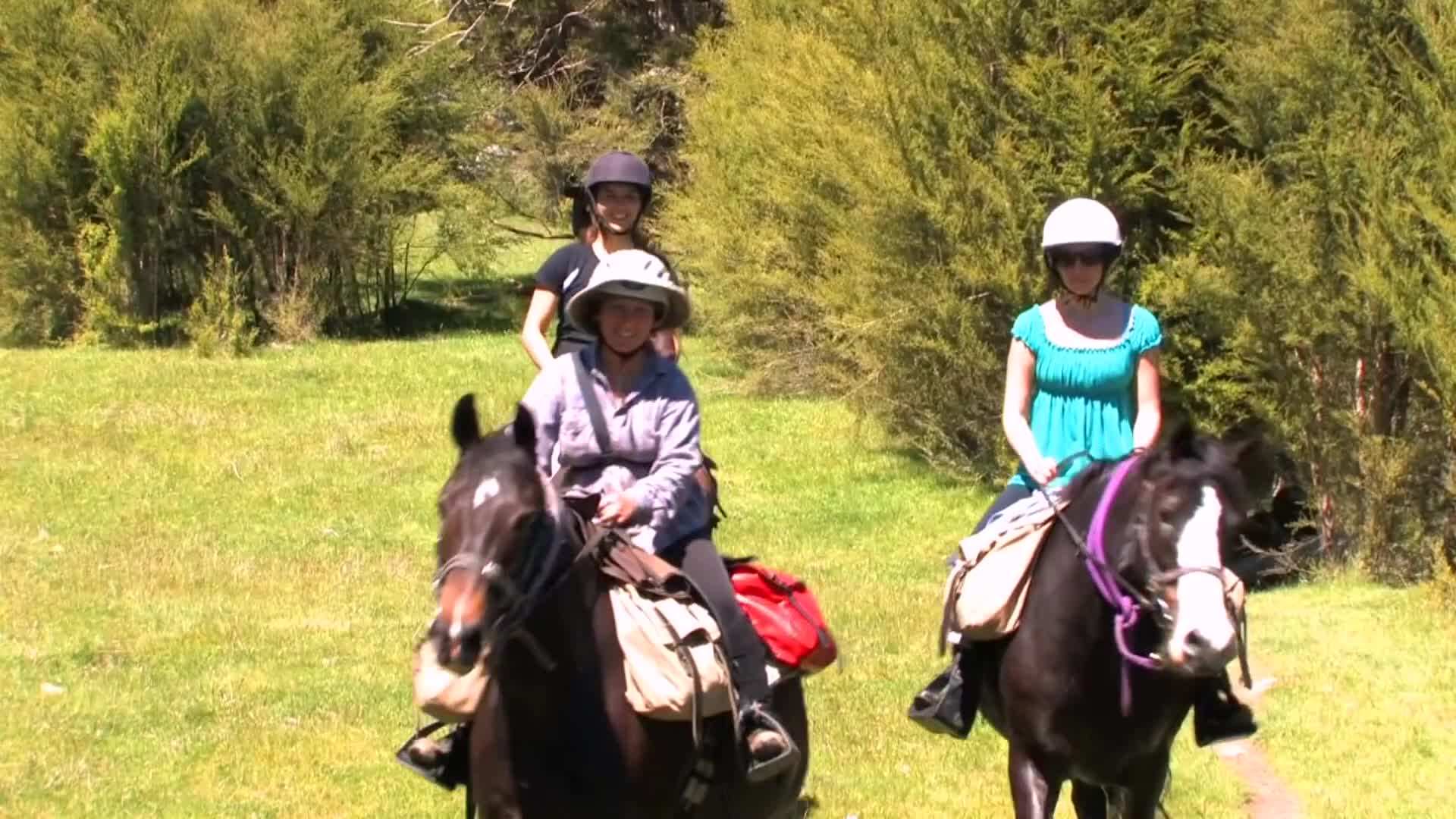 A breathtaking view of the off-the-grid cabin surrounded by the stunning mountain ranges of the Kahurangi National Park