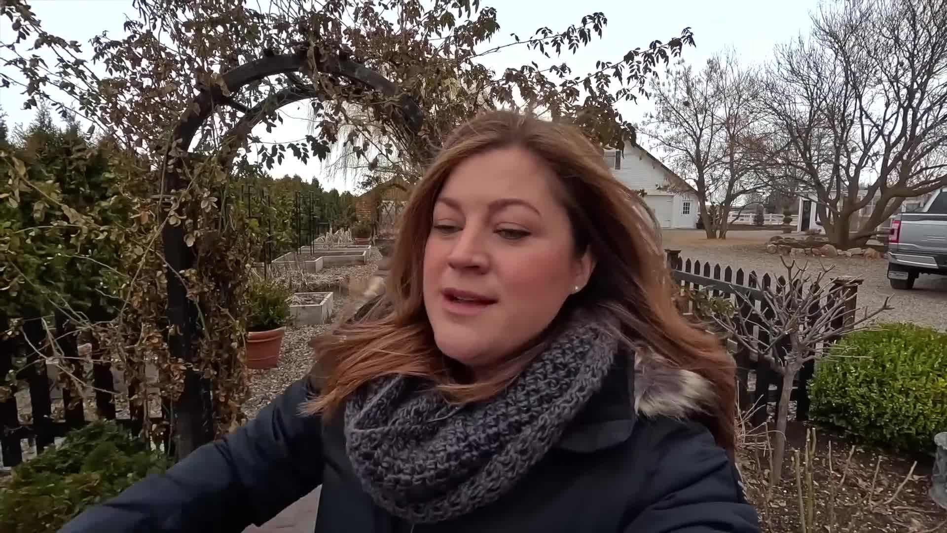 Prune climbing roses in early spring for optimal results