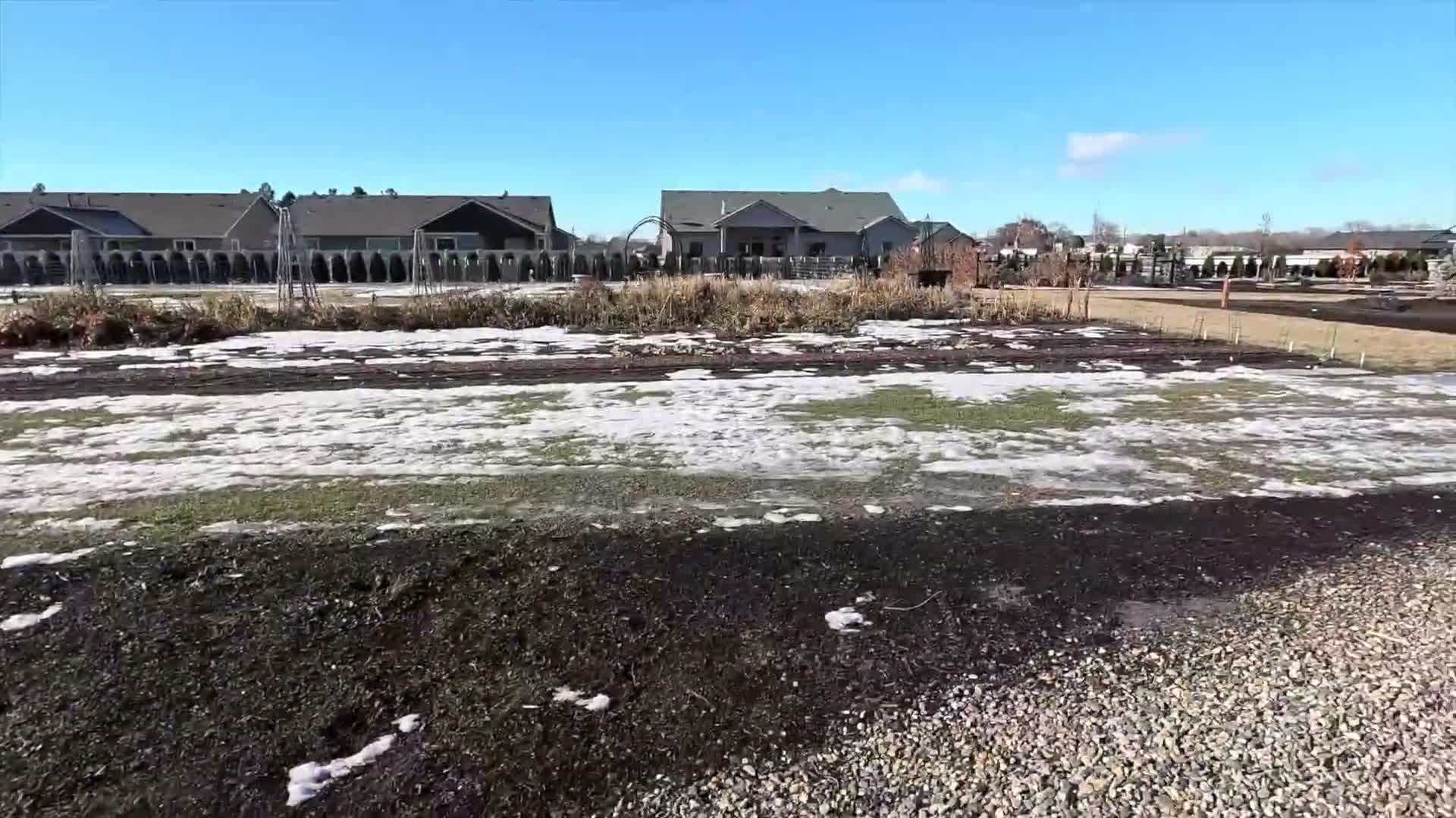 Garden Answer disposing of plant debris in a compost pile