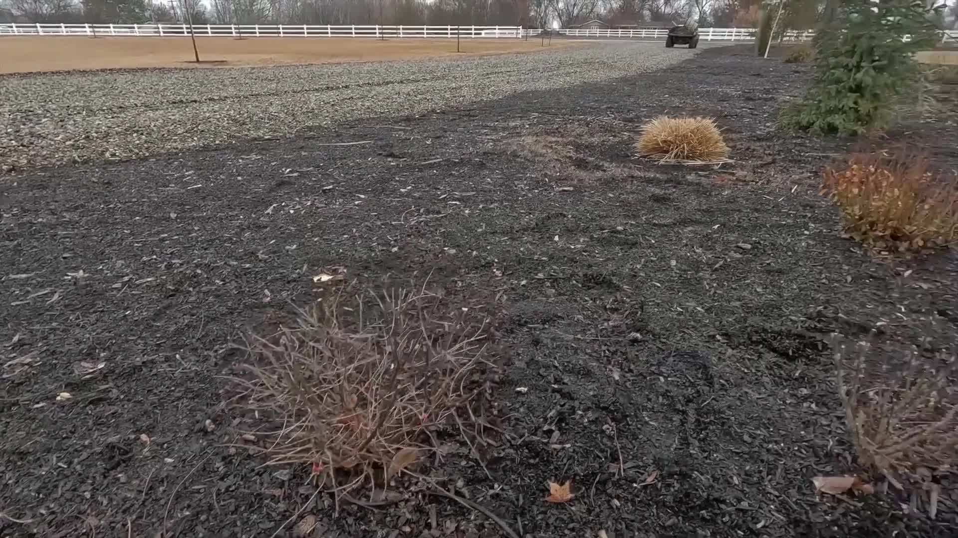 Applying mulch to a flower bed