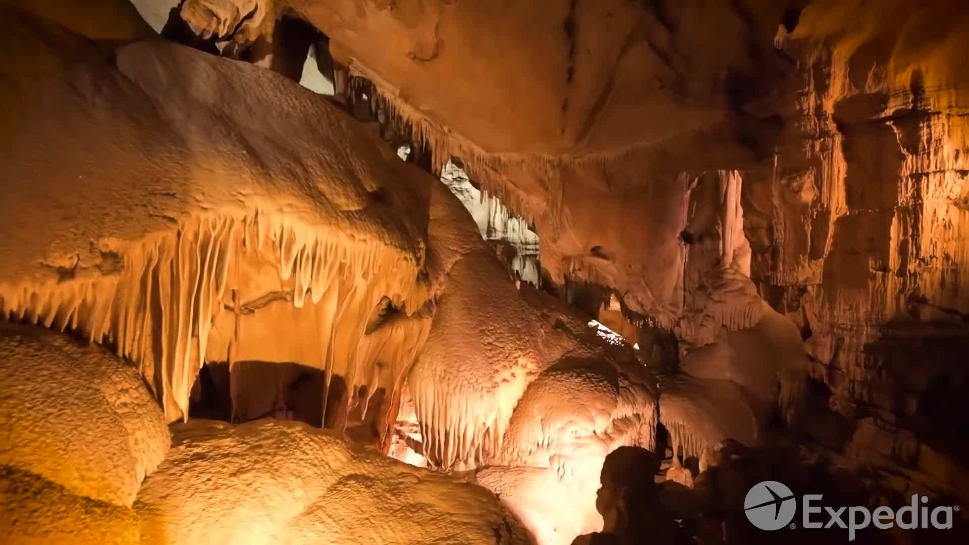 General Sherman Tree - The largest living tree on Earth