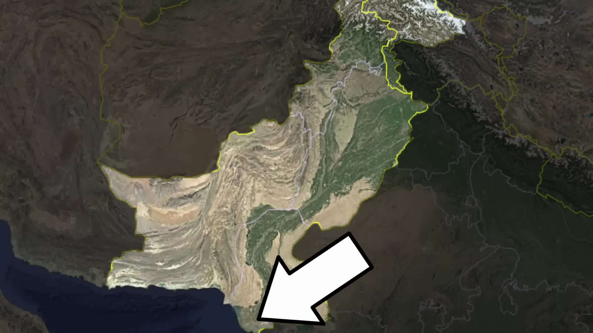 Traditional Punjabi Dance Performance