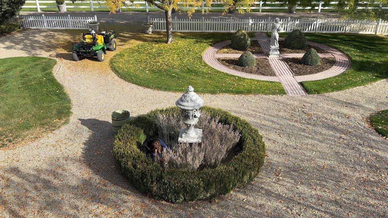 Planting Alliums & Tulips in the Garden: A Step-by-Step Guide