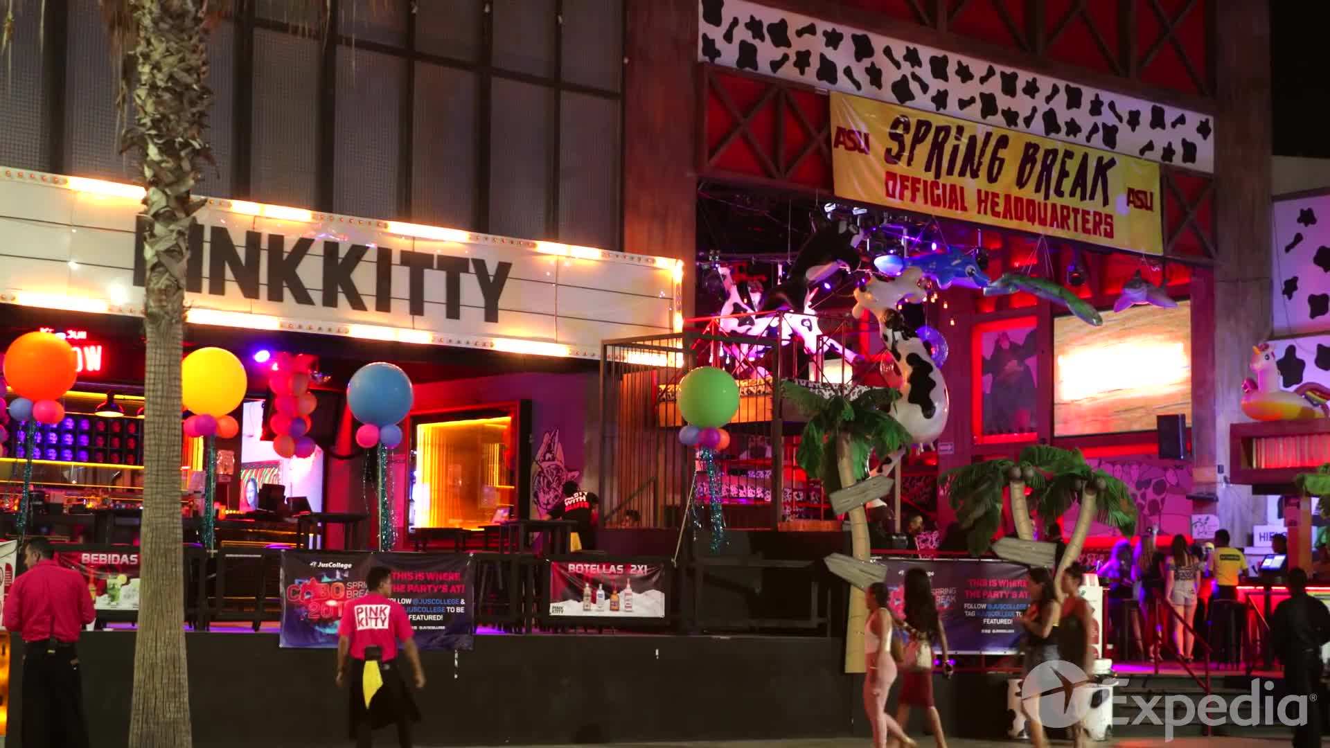 Palmilla Beach - Tranquility by the Sea