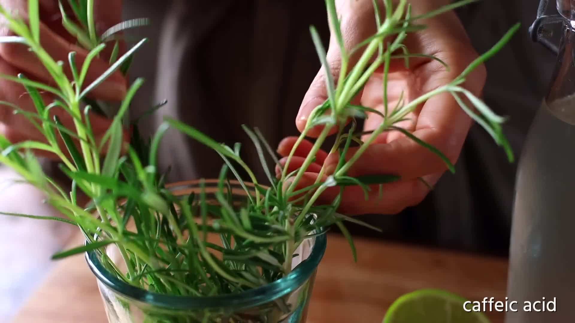 Turmeric: A Powerful Anti-inflammatory Ingredient