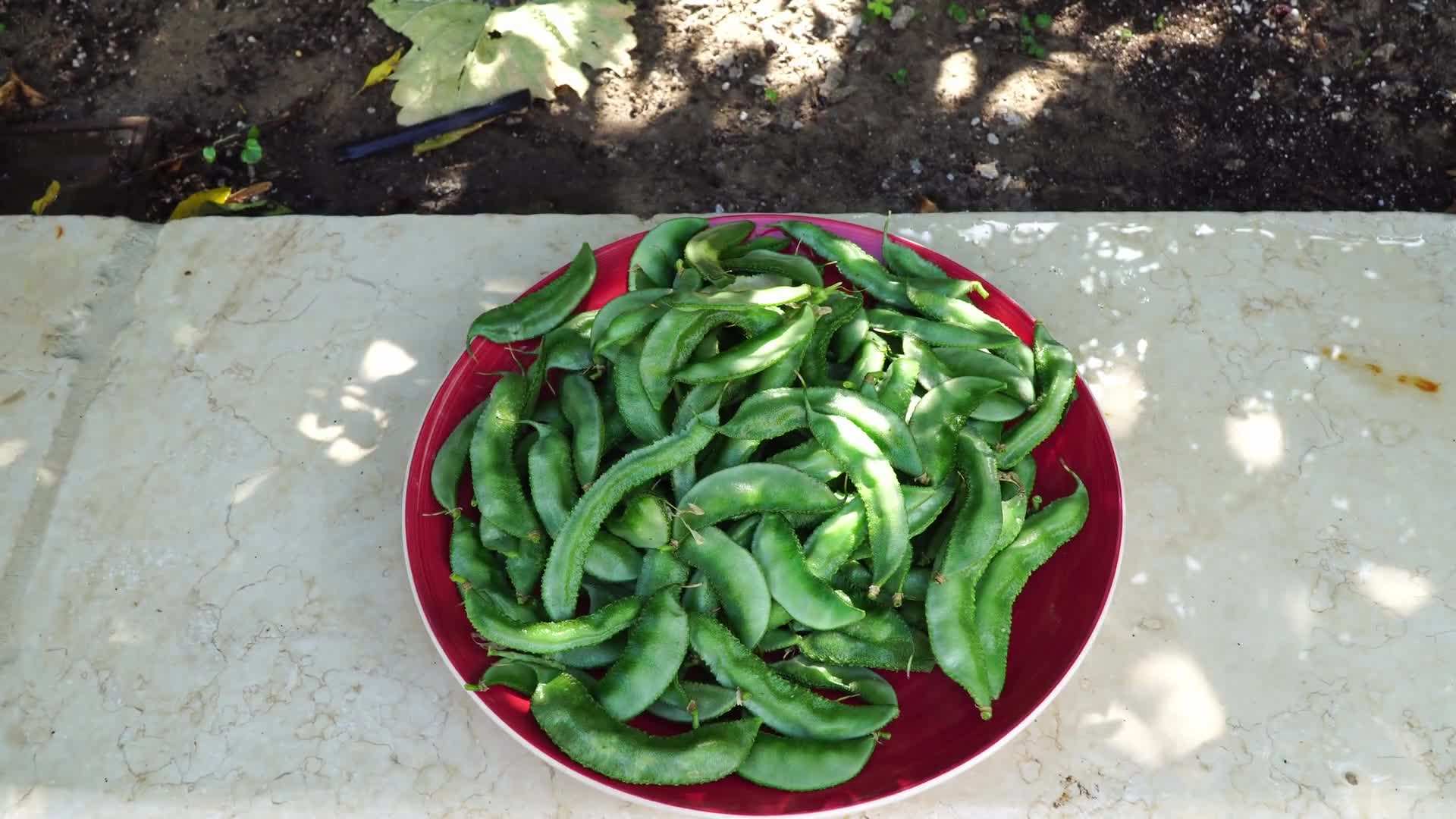 Spicy bean salad made with Lablab purpureus beans