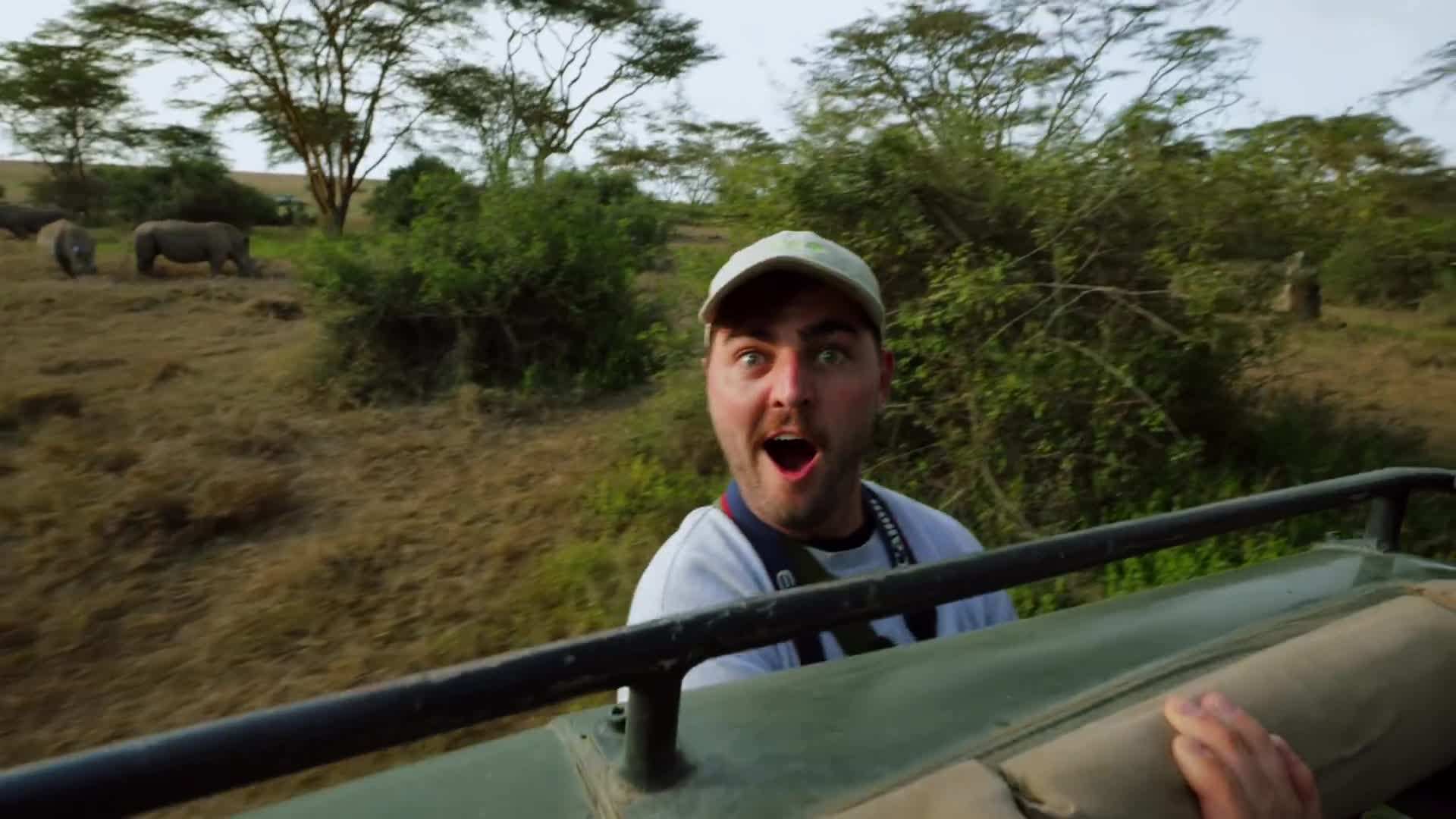 Rhinos Grazing on the Savanna