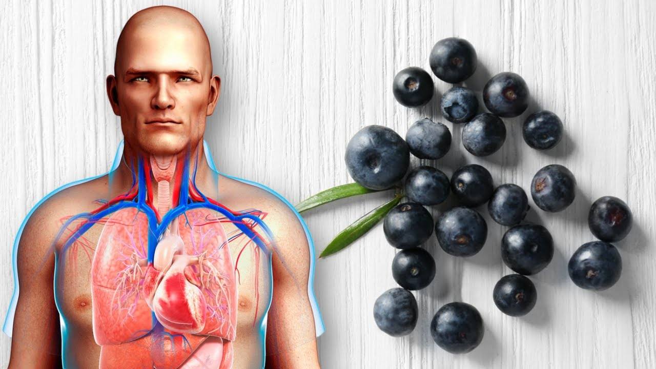 Discover the Health Benefits of Acai: The Super Berry You Need to Know About