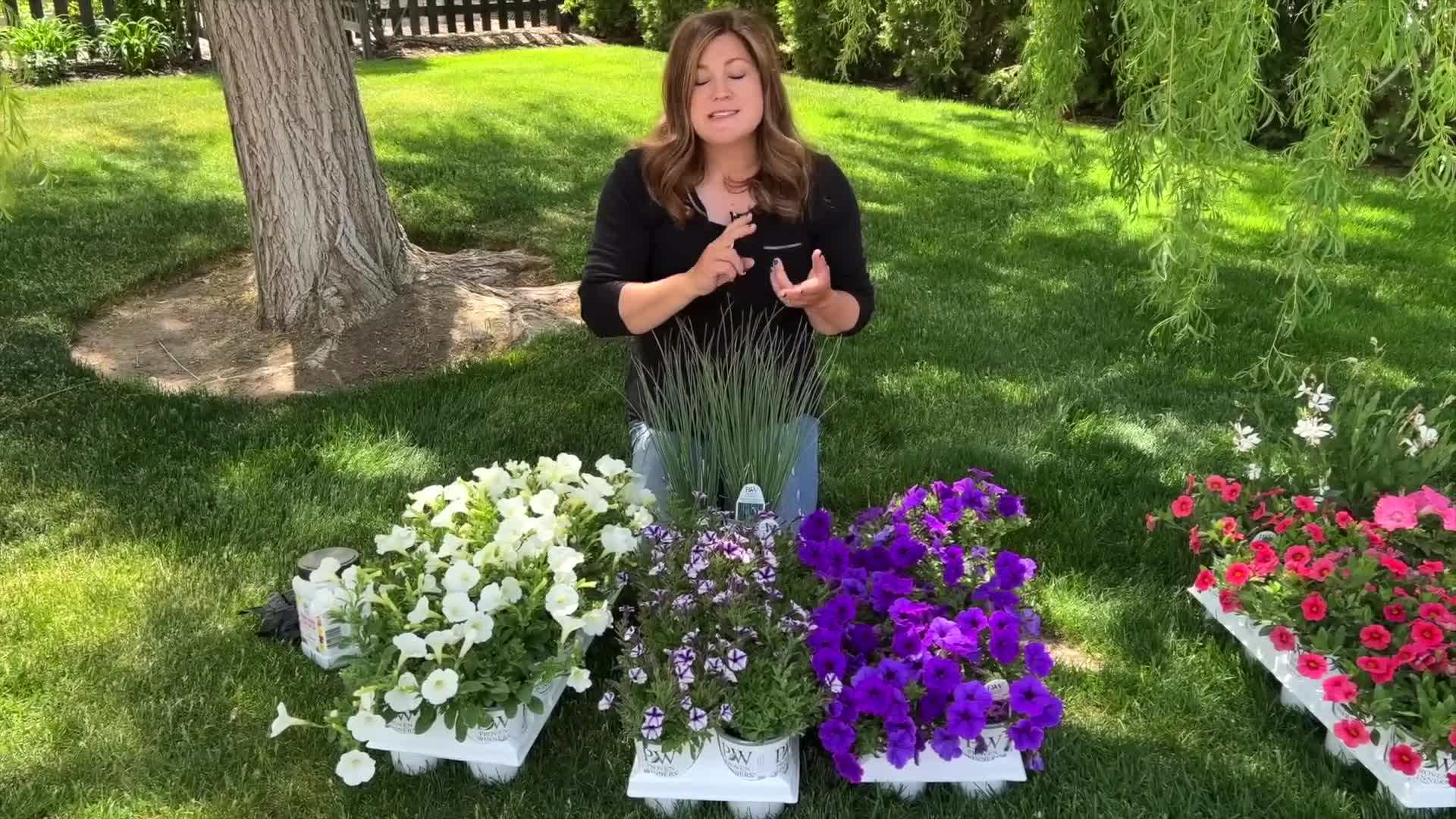 A variety of containers of different sizes and heights