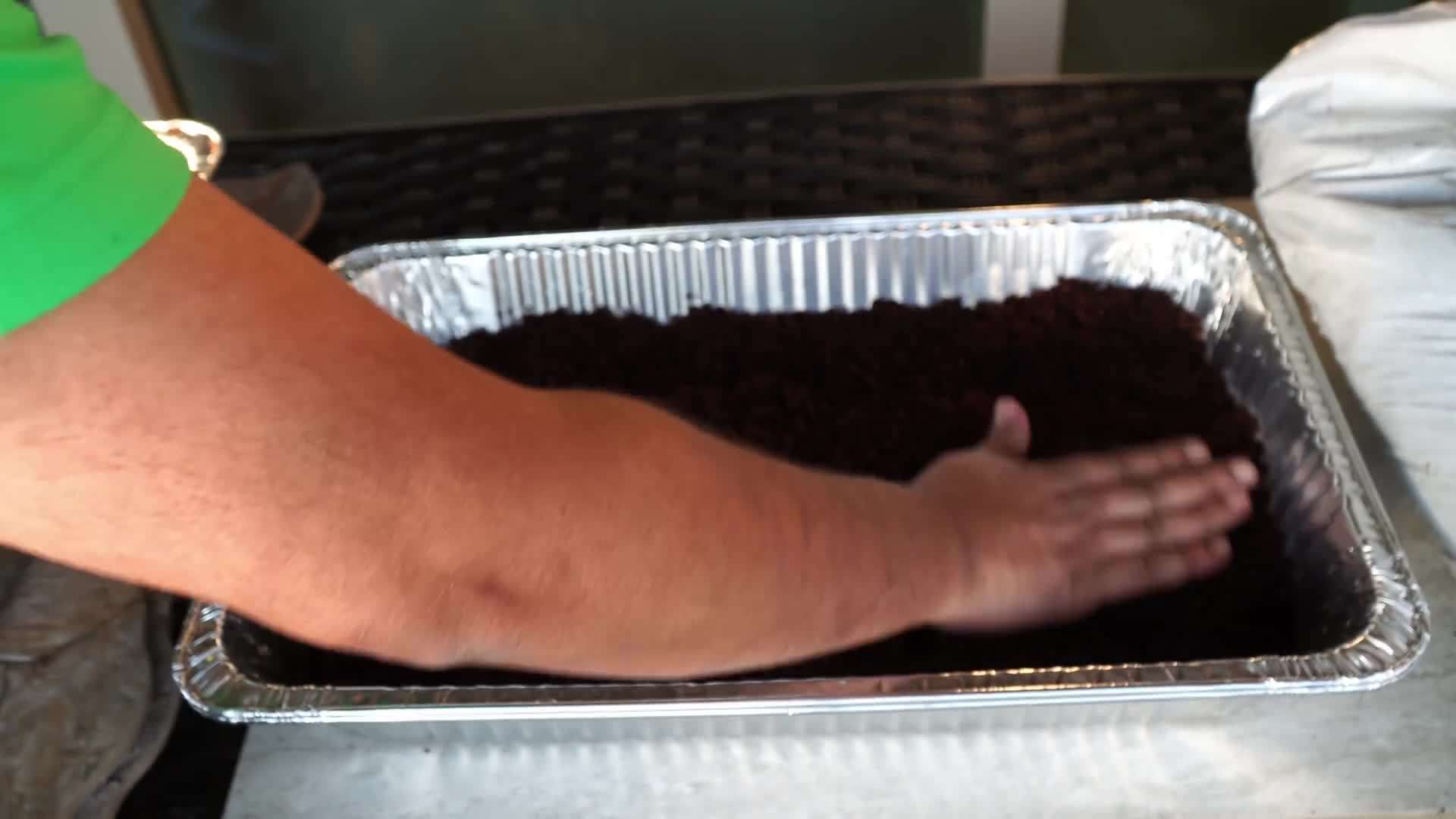 Harvested microgreens ready to be enjoyed