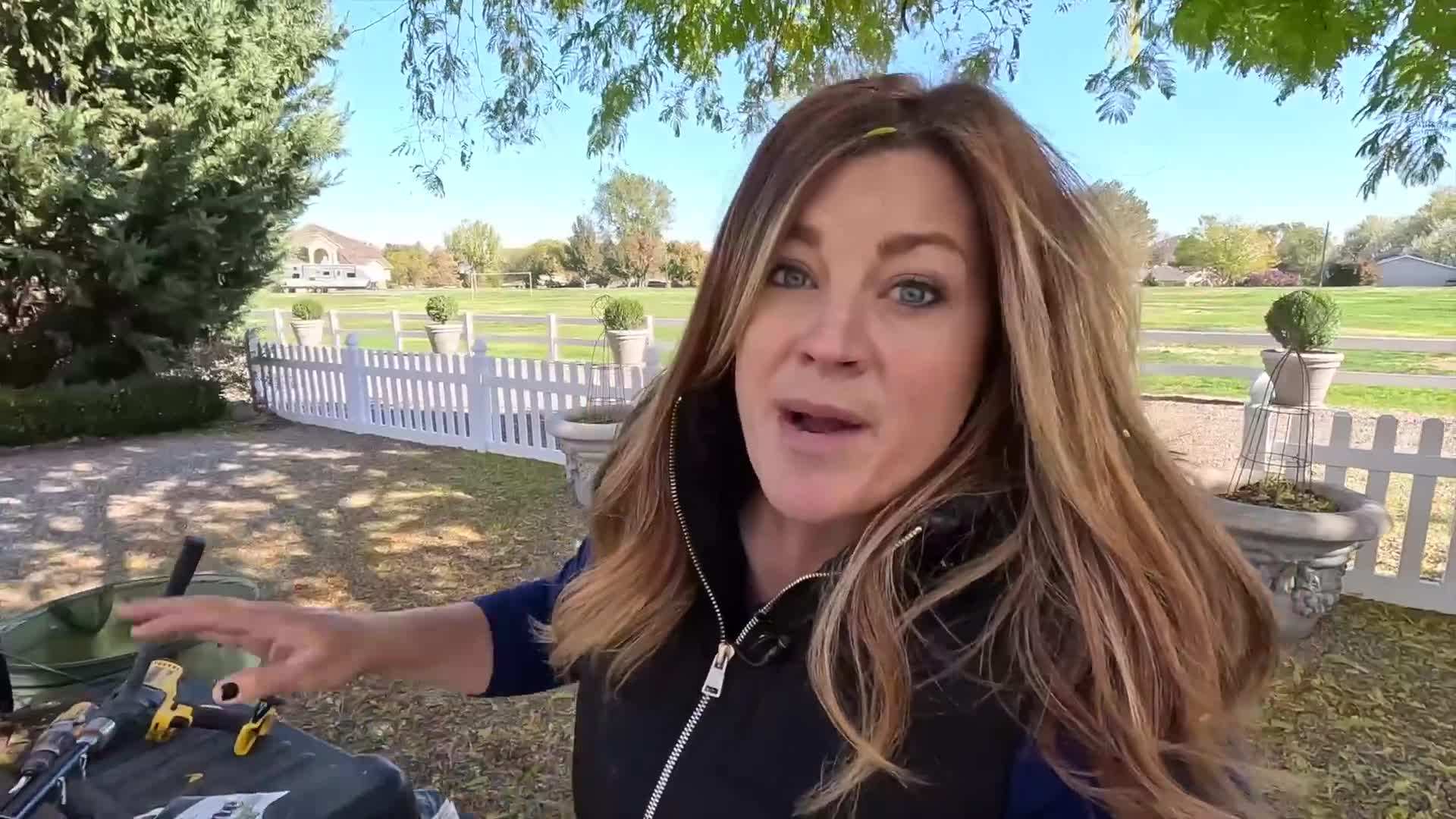 Allium Globemaster - Beautiful purple blooms