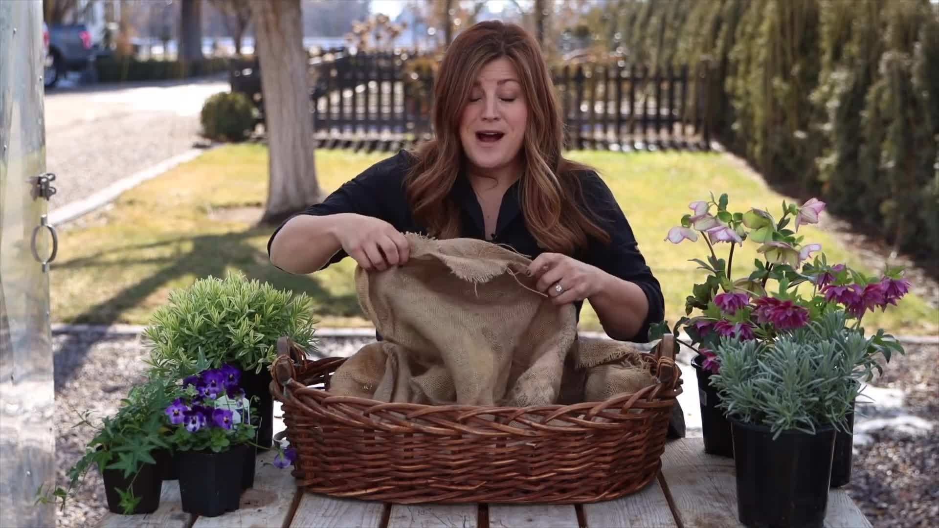 Selection of different types of baskets