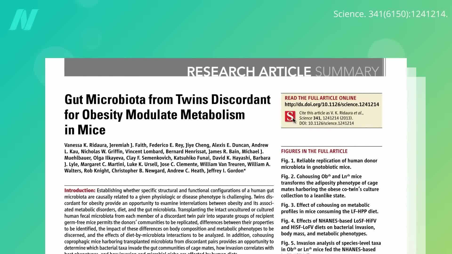 The process of fecal transplant