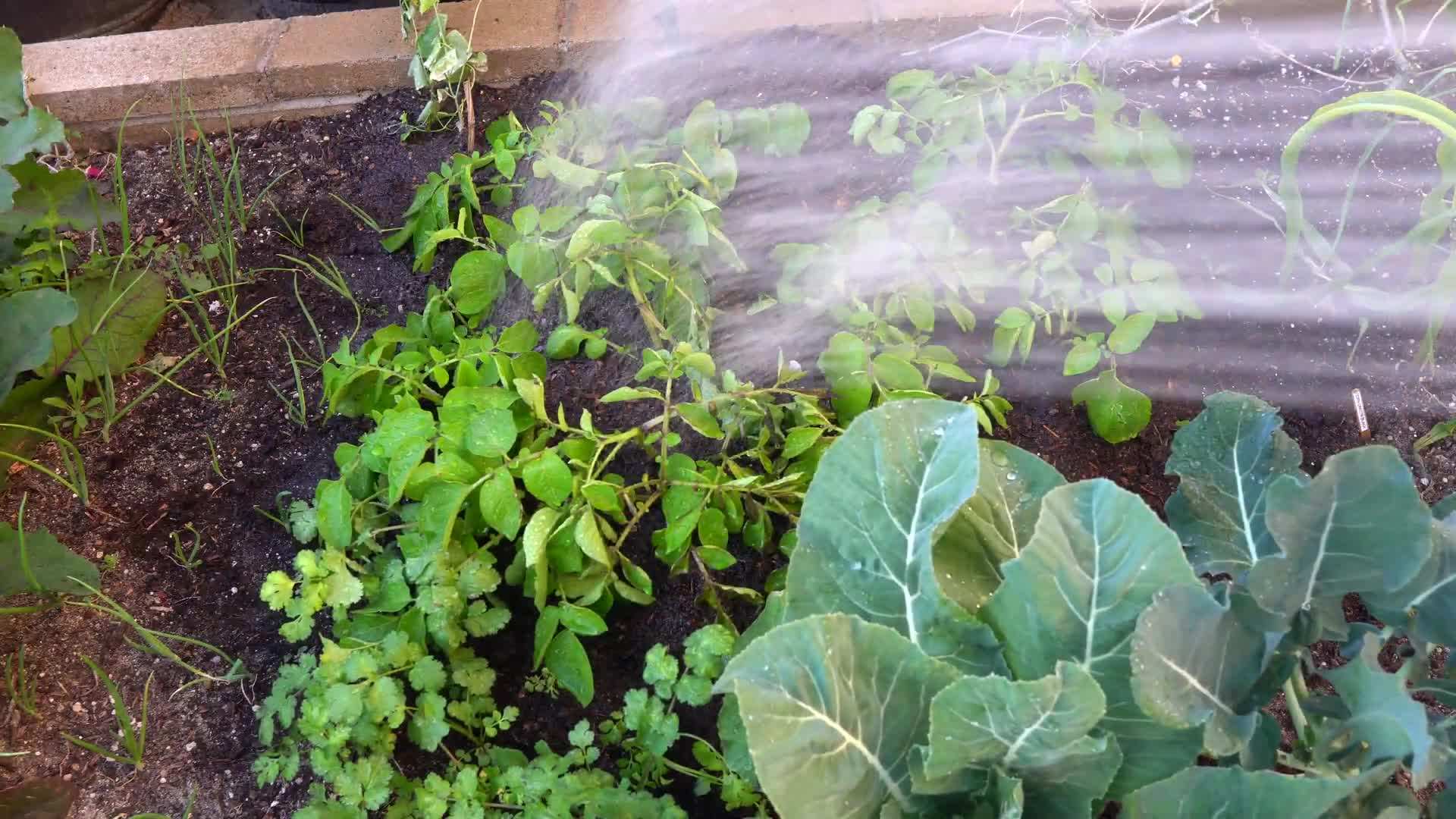 Amending the soil with organic matter