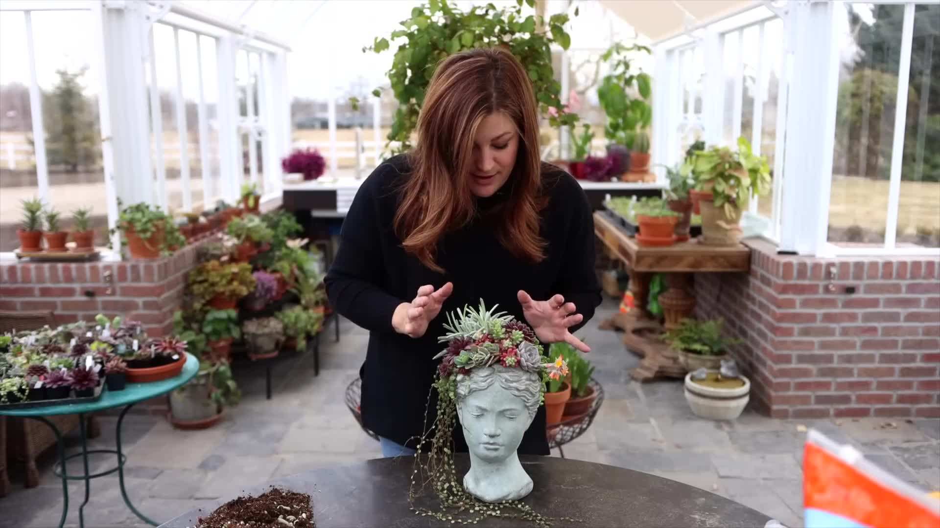 Arranging the succulents in the head planter