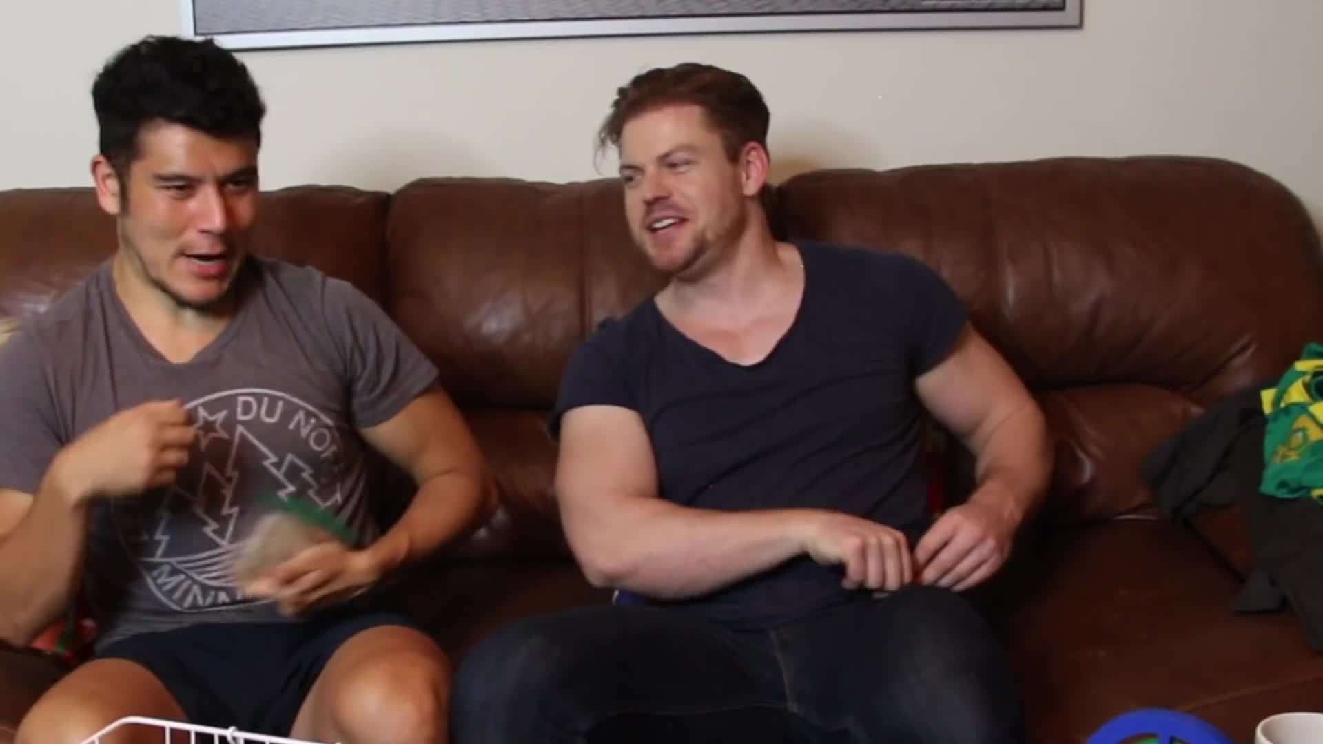 Falconry demonstration