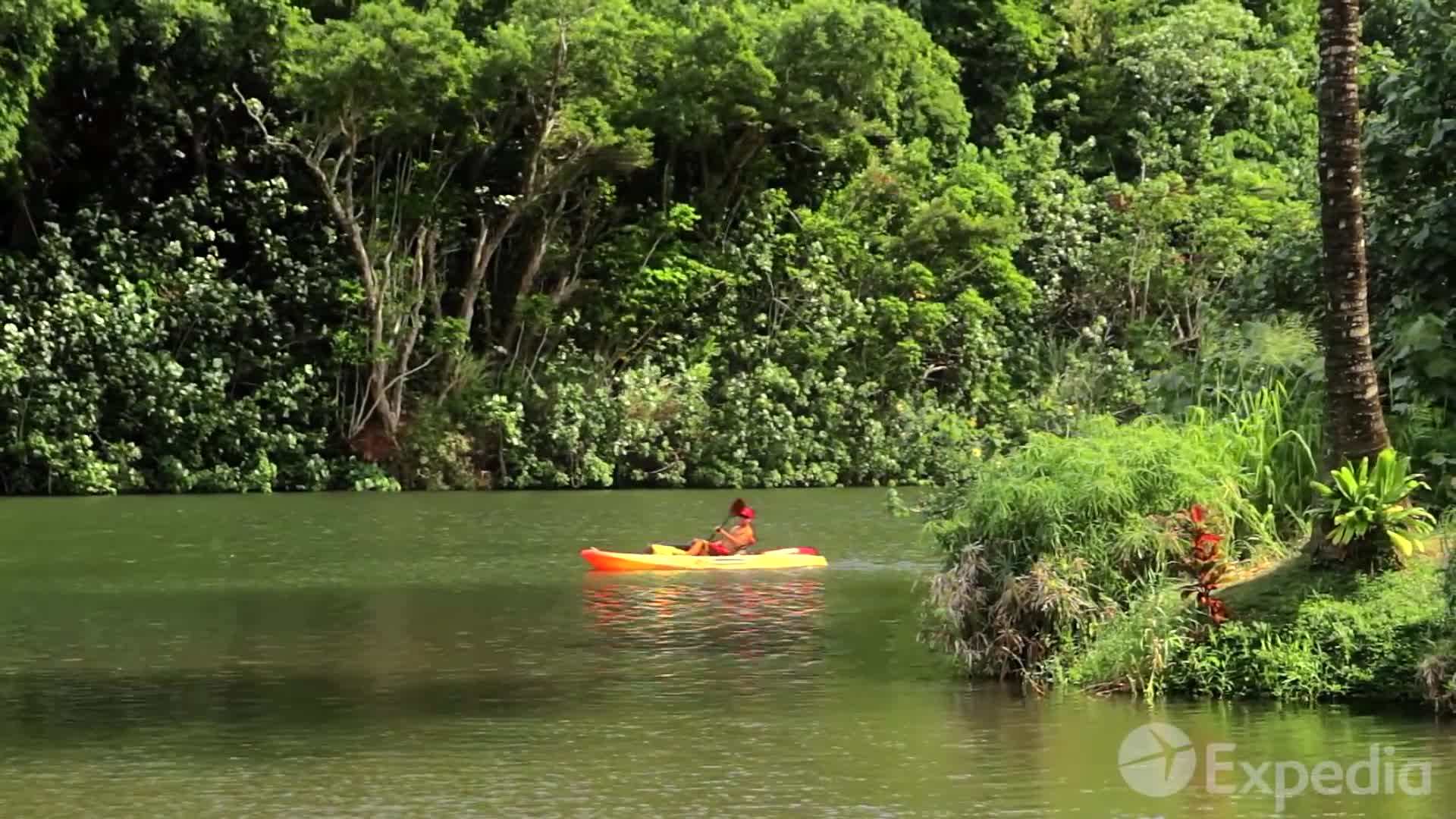 Lush rainforest in Kauai