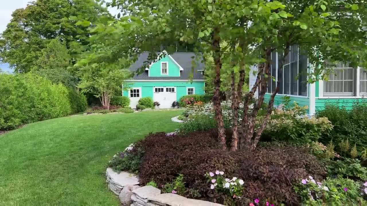 A variety of lilac bushes planted together, showcasing different shades and sizes