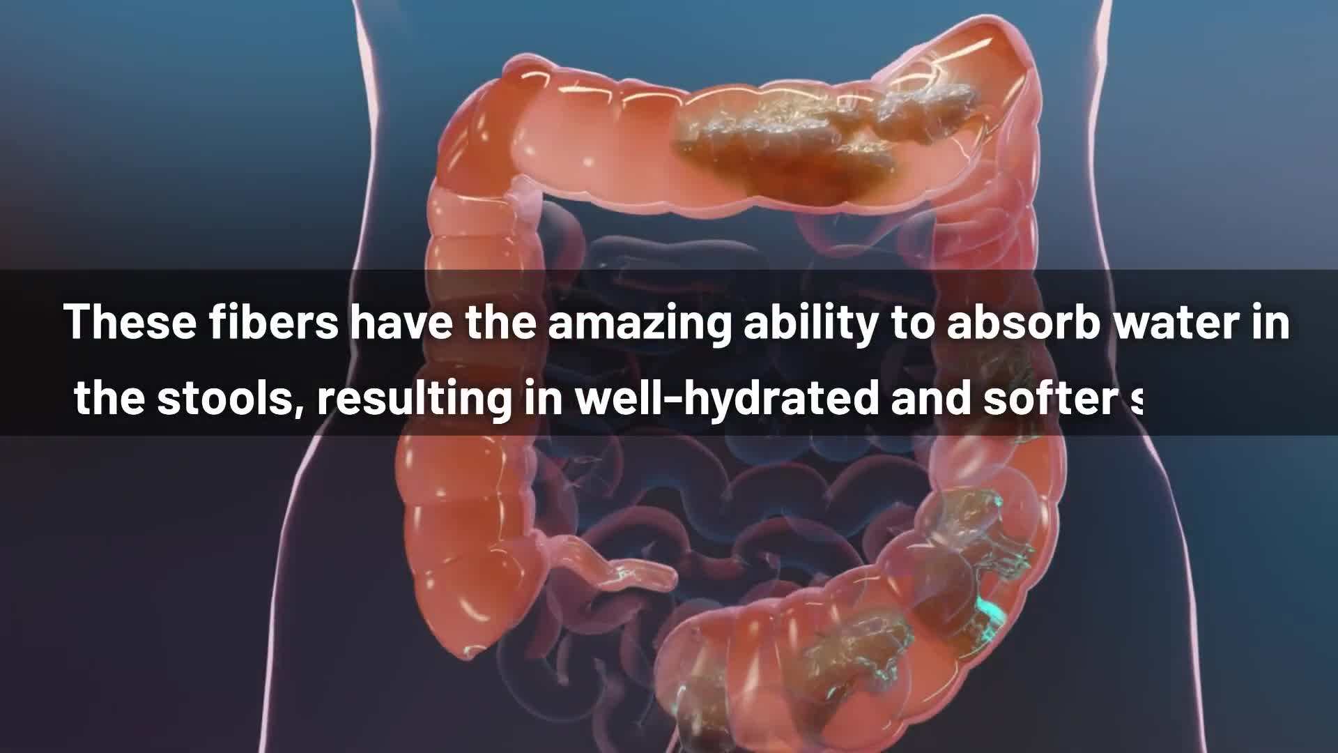 Incorporating Chia Seeds Into Smoothies