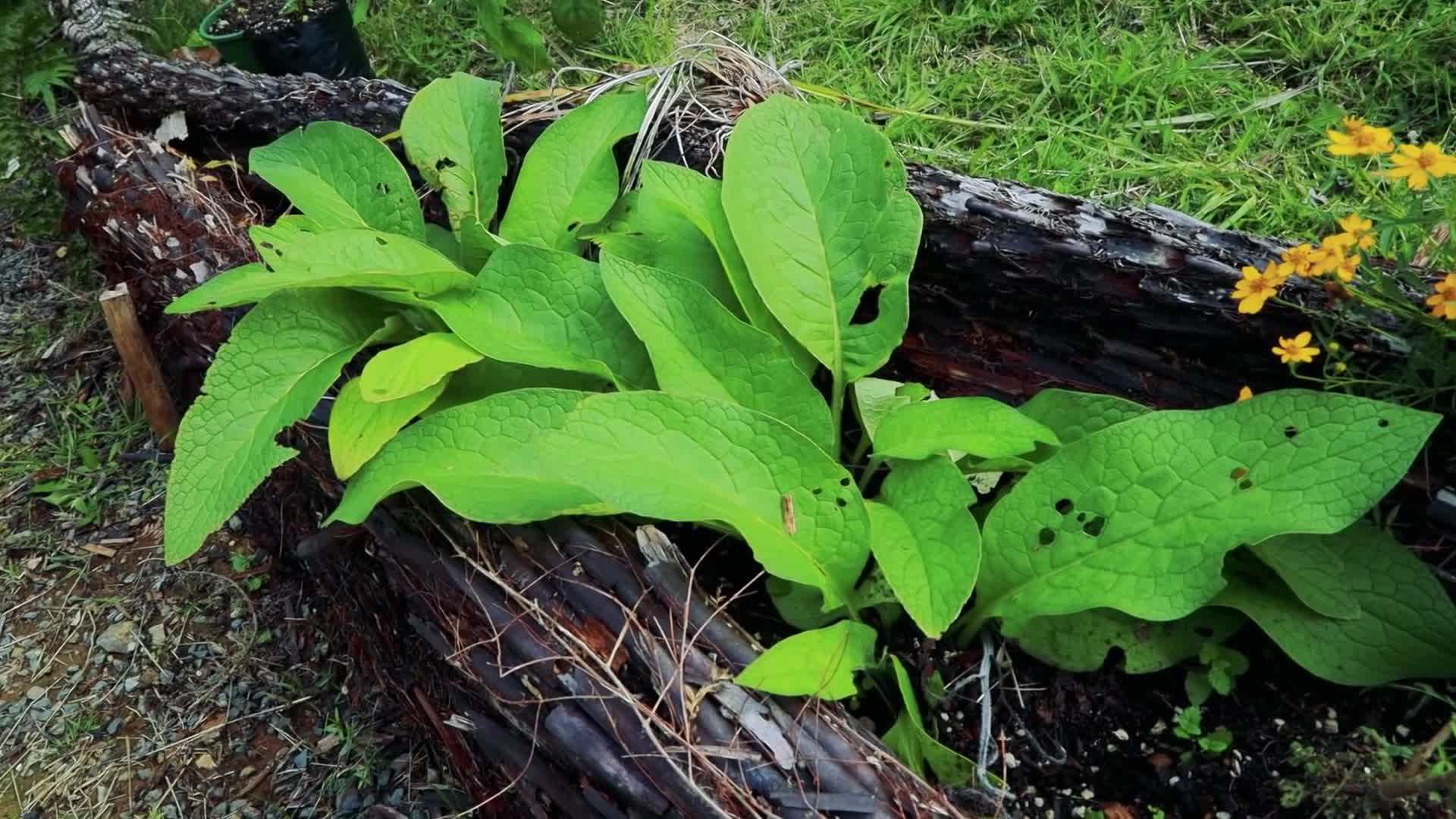 Interior of Rosie's shipping container home