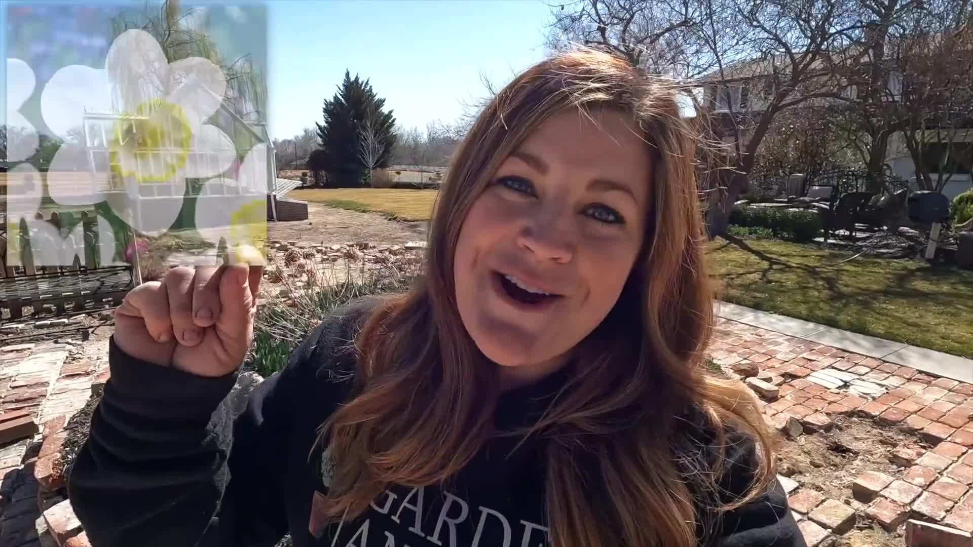 Digging the holes for daffodil bulbs