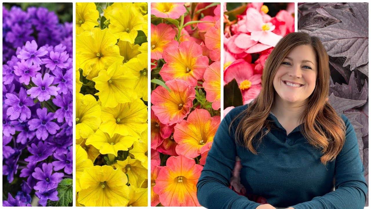5 Must-Have Annuals for 2023: Enhance Your Garden with These Beautiful Flowers