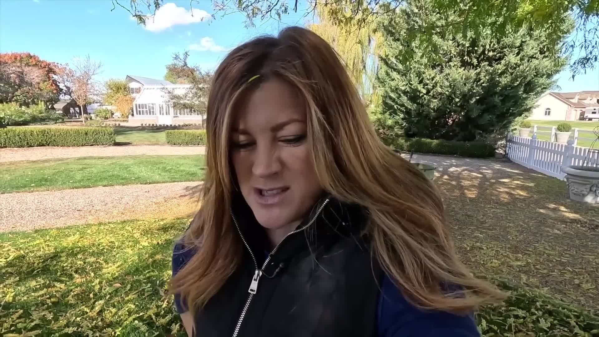 Tulip Apeldoorn - Vibrant red tulip variety