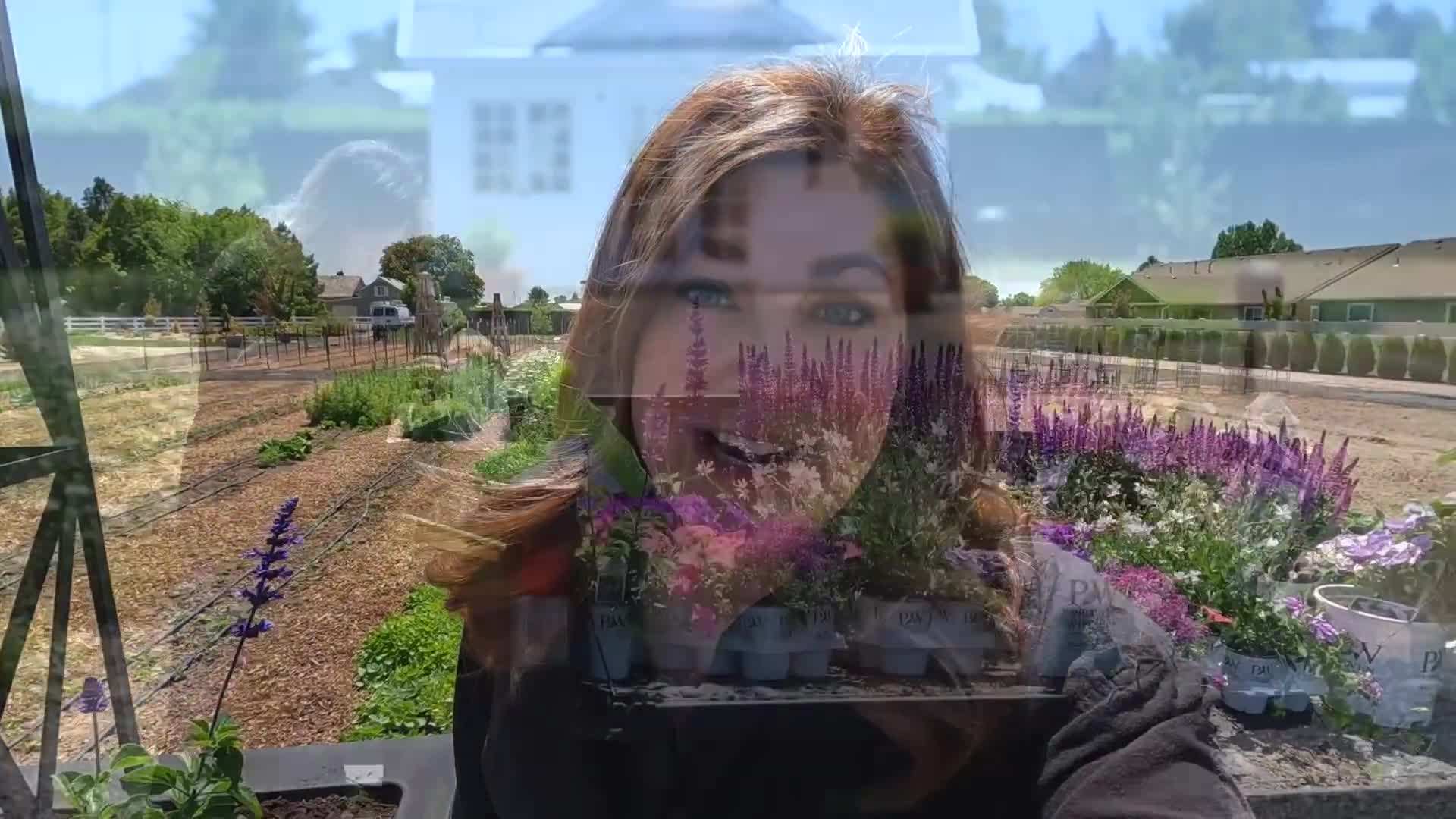 Contrasting Colors and Textures for Eye-Catching Display