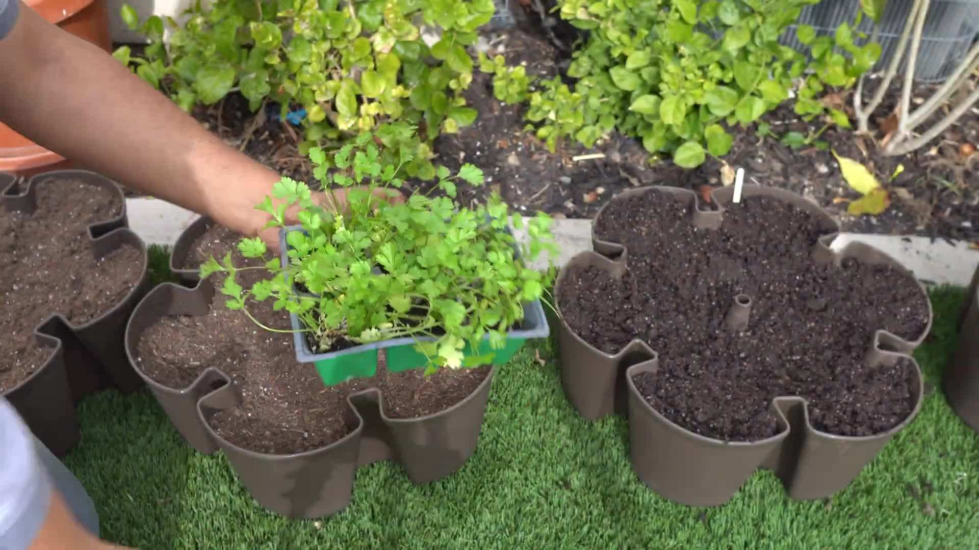 Efficient Watering System of the Green Stalk LEAF Planter