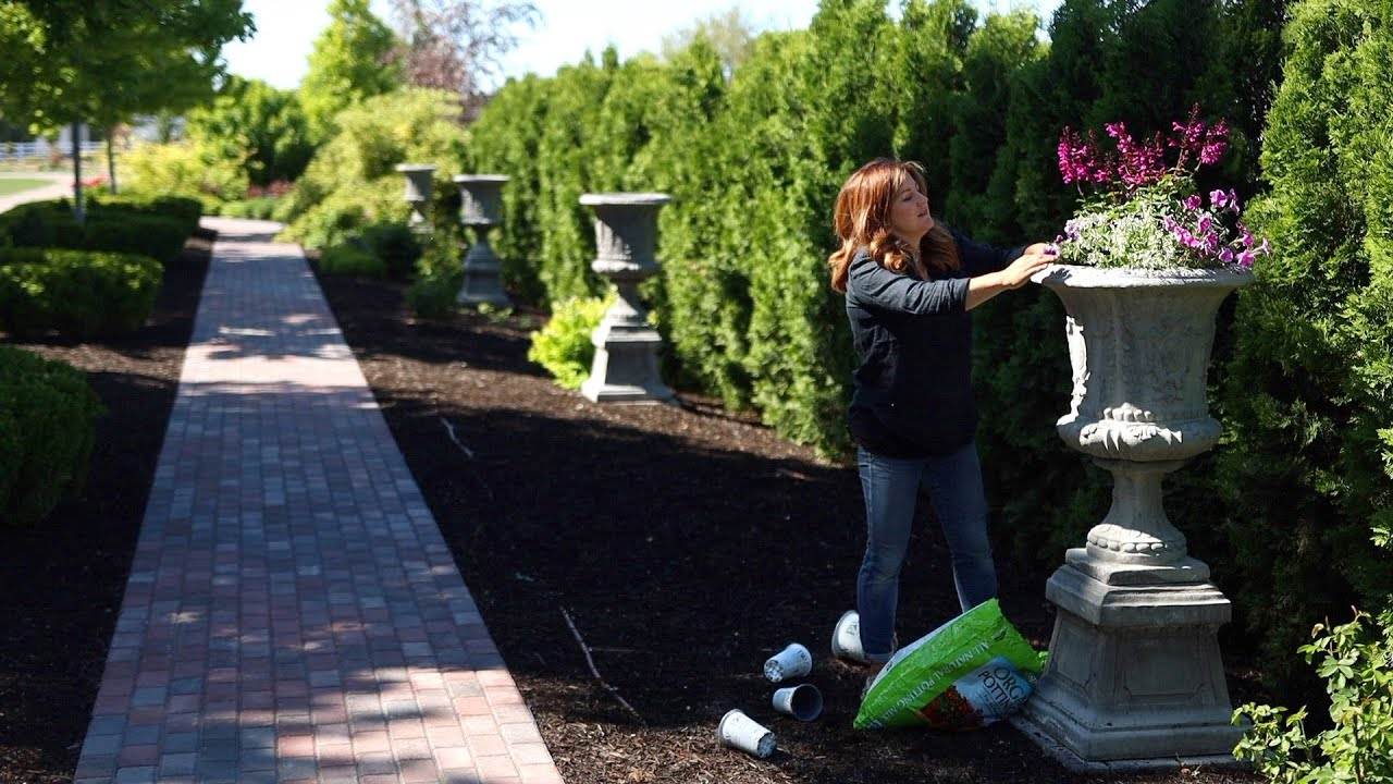 Planting a Gorgeous Full Sun Container Arrangement: A Step-by-Step Guide