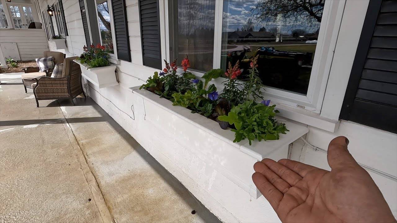 Planting Salad & Herb Window Boxes: A Step-by-Step Guide