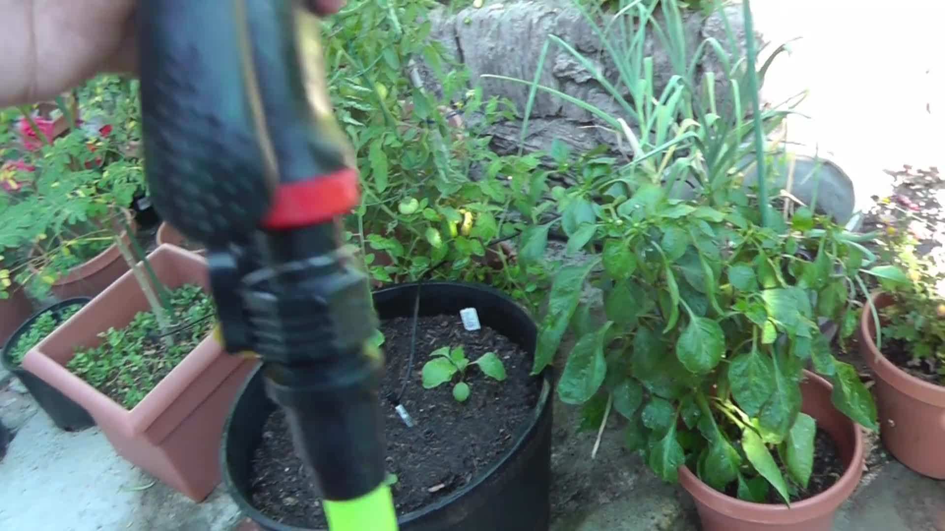 Pros and Cons of Folding Garden Hoses
