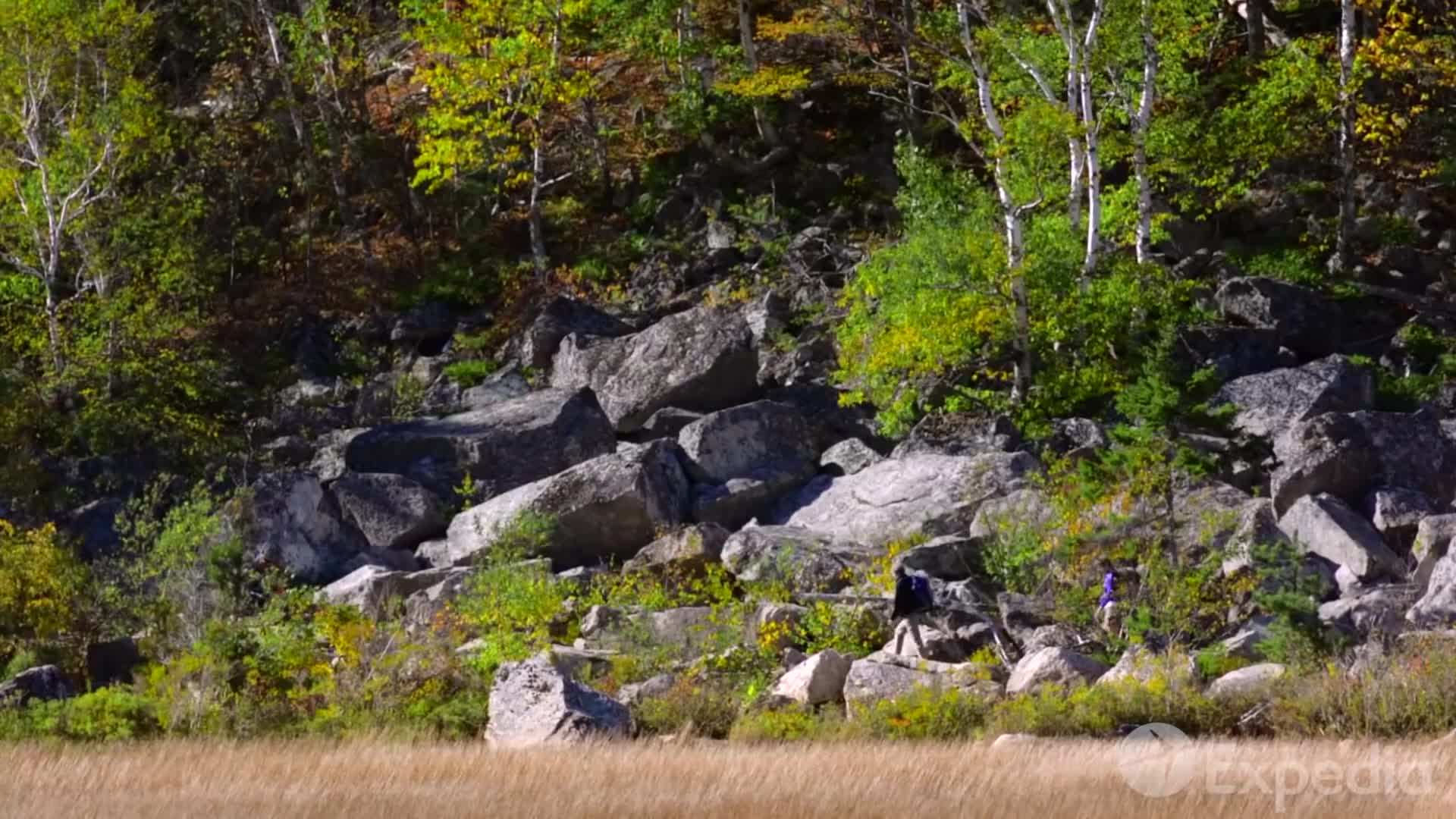 Panoramic View from Cadillac Mountain