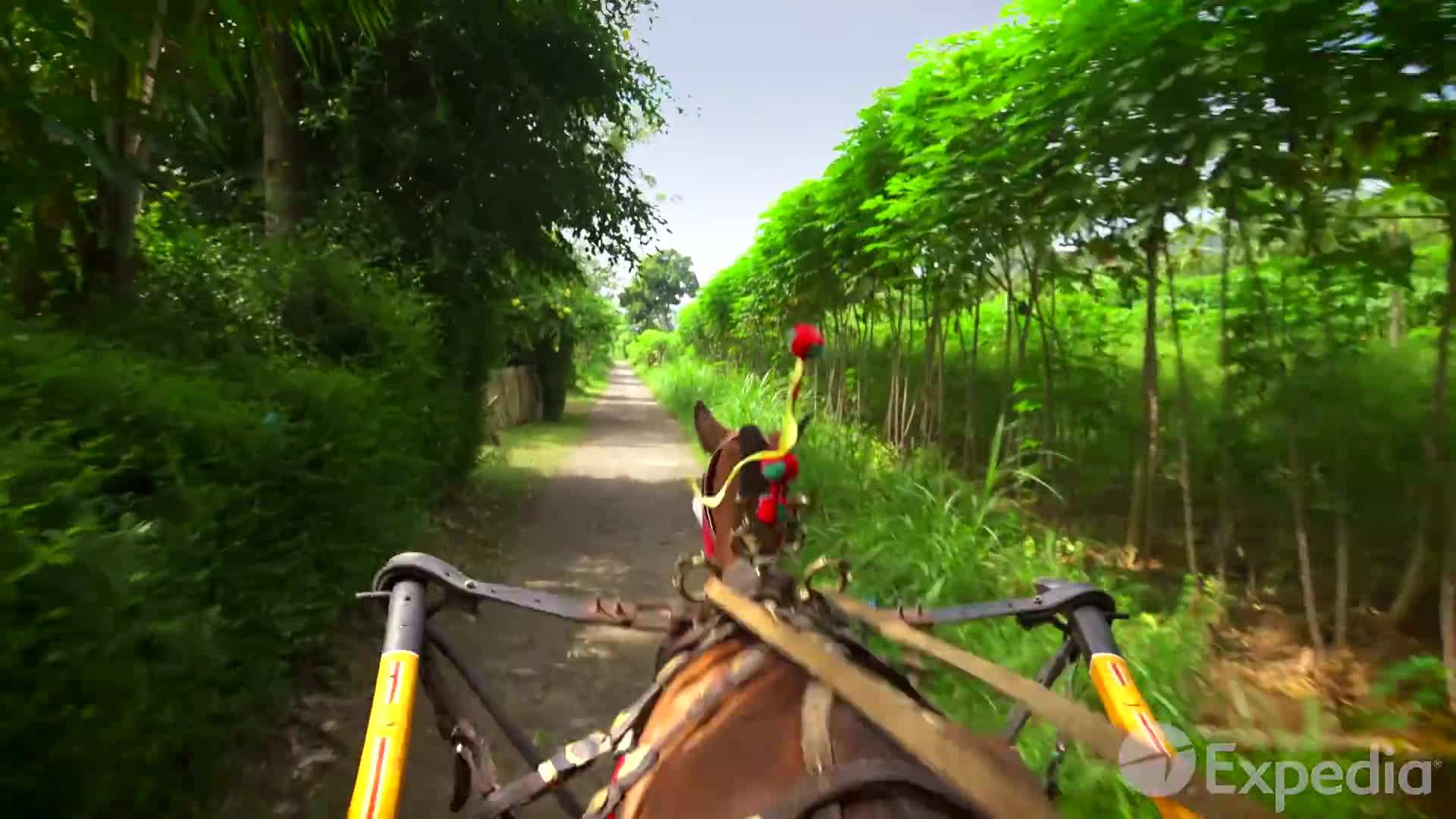 Wayang Kulit: A Traditional Shadow Puppet Show