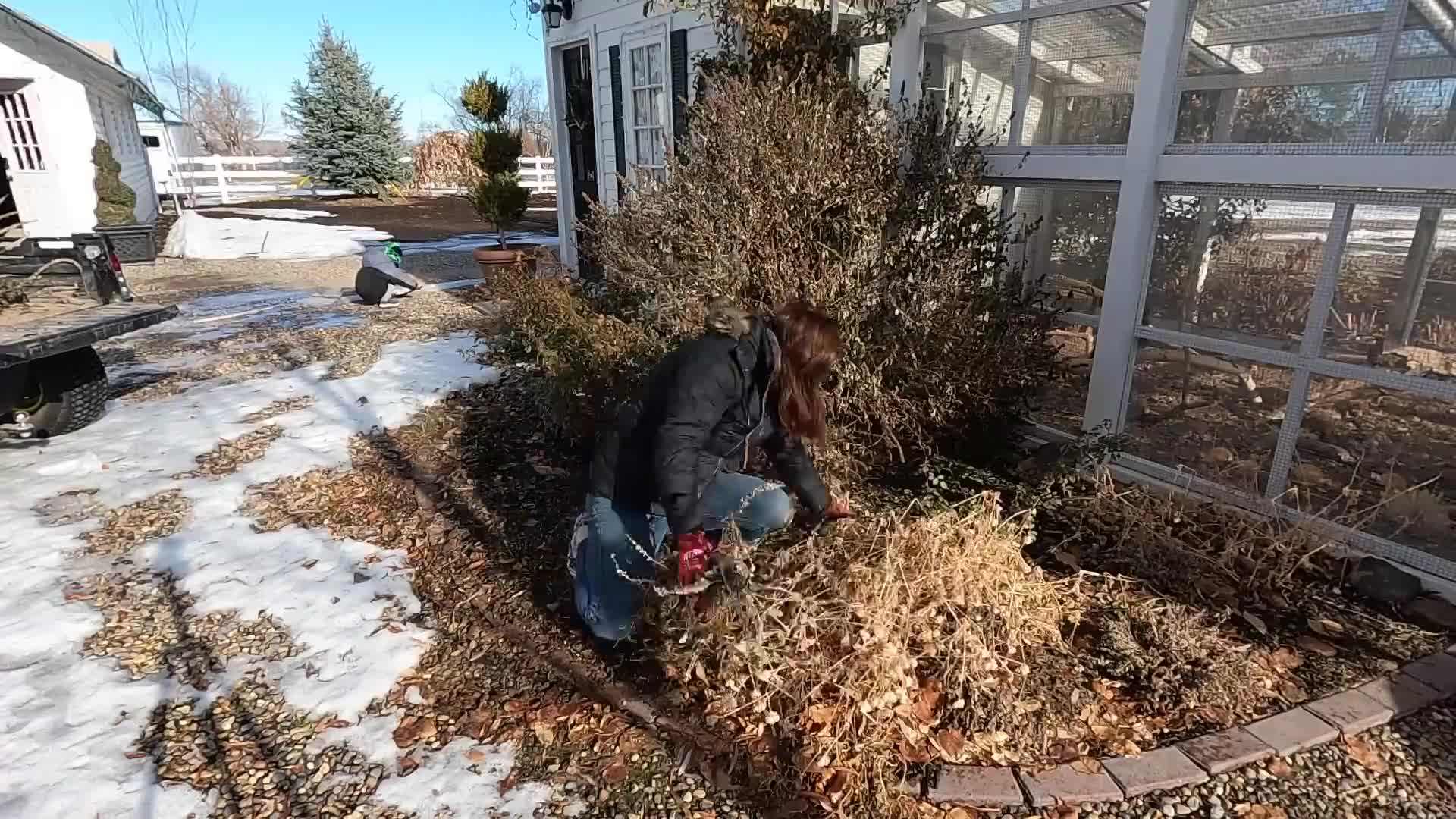 Before and after shots of a garden after clearing out annuals