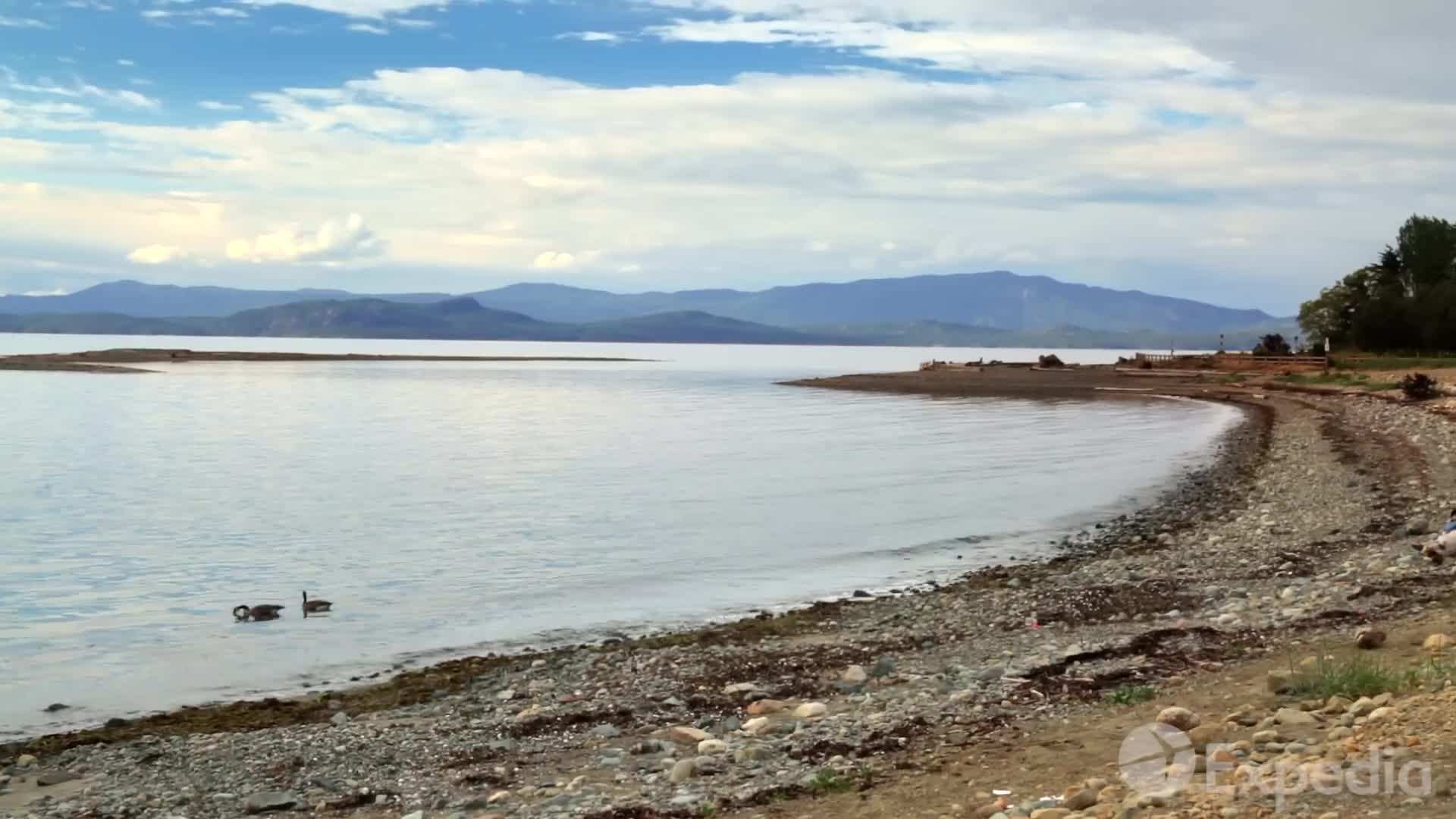 Whale-watching tour in Vancouver Island waters