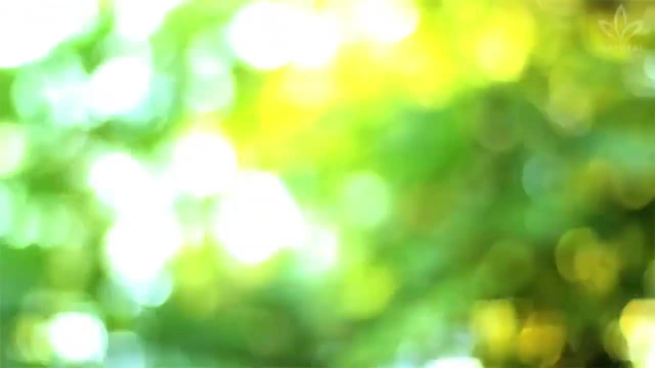 Resveratrol - The Super Compound in Green Grapes