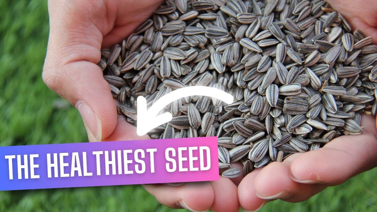 The Power of Sunflower Seeds: A Comprehensive Guide to Health and Wellness