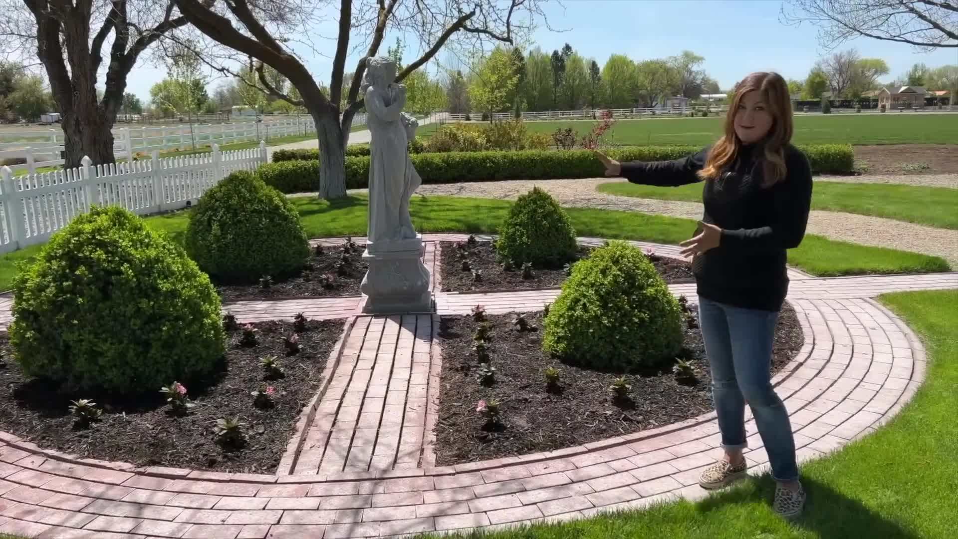 SunPatiens® Compact Blush Pink Impatiens