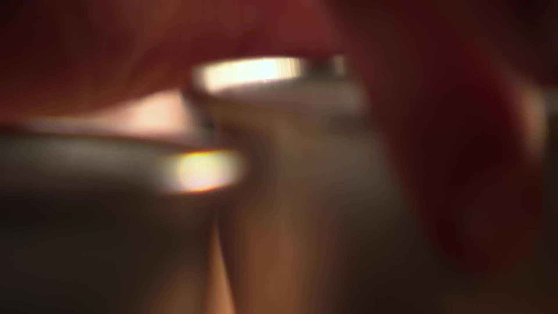 Perfectly Roasted Chicken