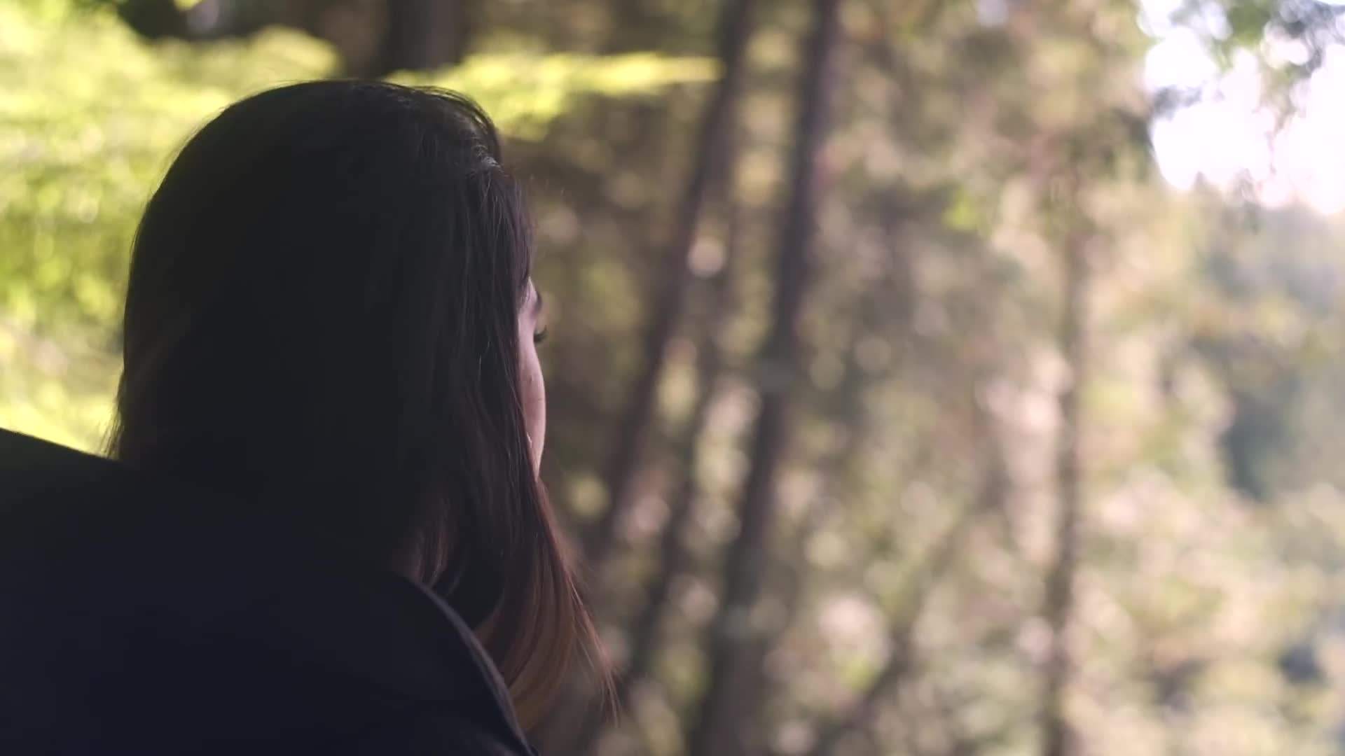 Veggie Stir-Fry with Tofu - A Plant-Based Version